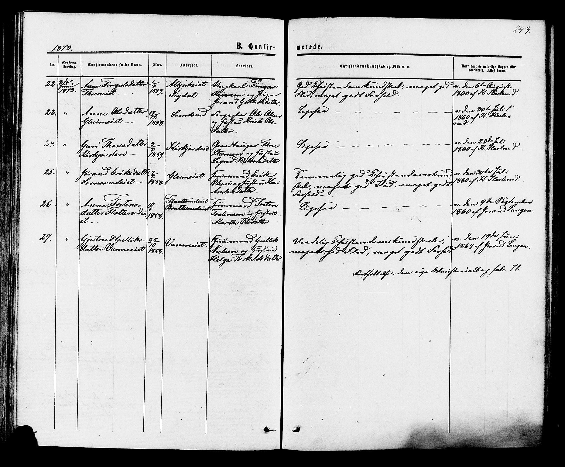 Rollag kirkebøker, AV/SAKO-A-240/F/Fa/L0009: Parish register (official) no. I 9, 1860-1874, p. 243