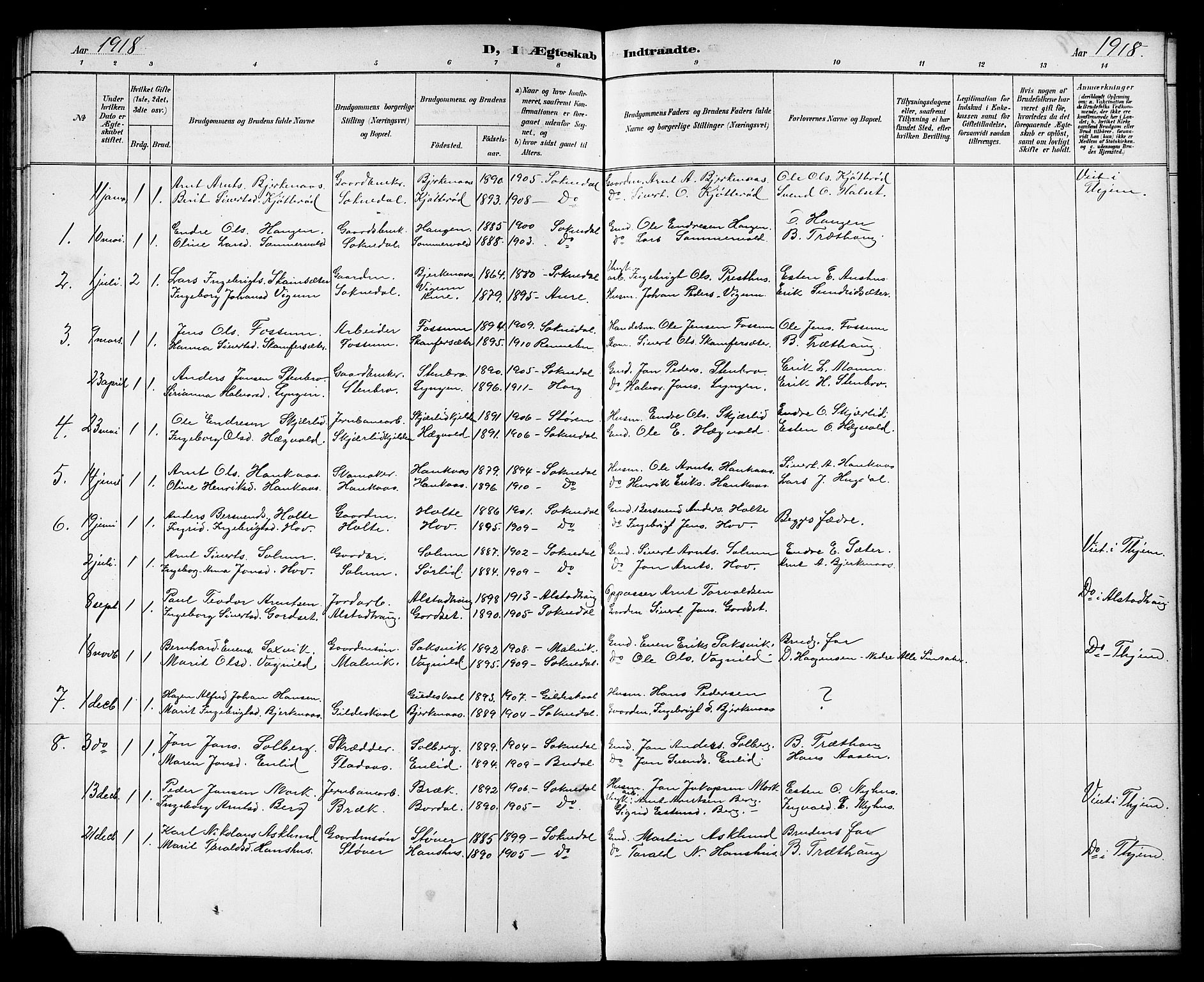 Ministerialprotokoller, klokkerbøker og fødselsregistre - Sør-Trøndelag, SAT/A-1456/689/L1044: Parish register (copy) no. 689C03, 1893-1922