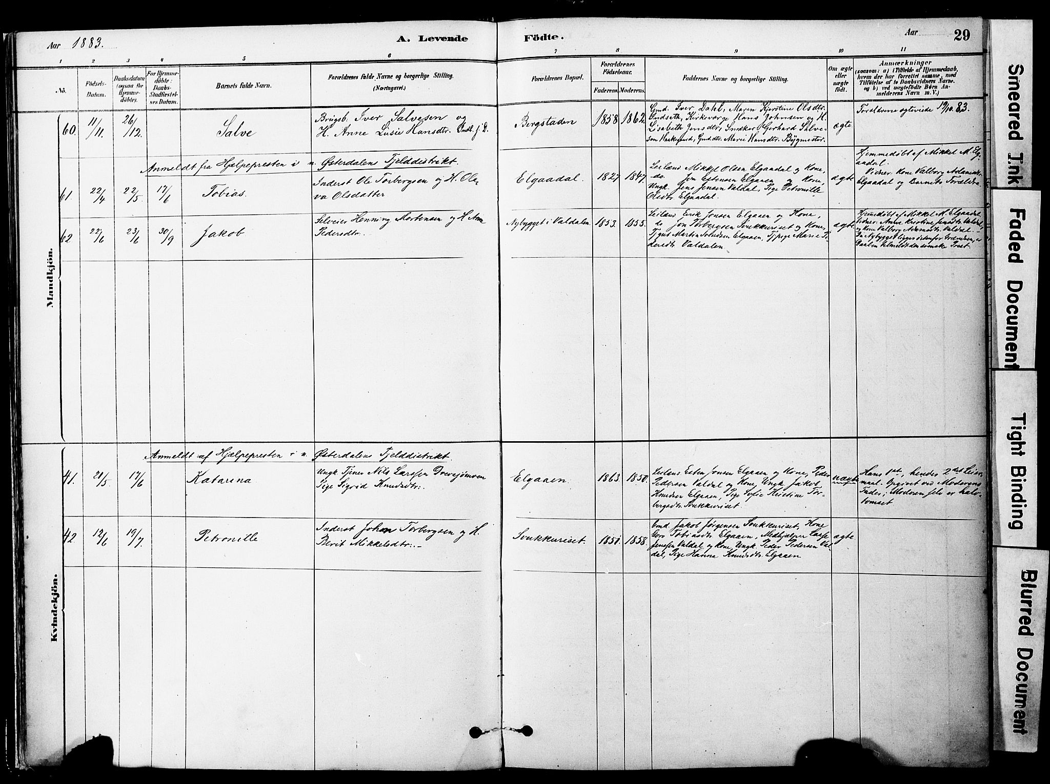 Ministerialprotokoller, klokkerbøker og fødselsregistre - Sør-Trøndelag, SAT/A-1456/681/L0933: Parish register (official) no. 681A11, 1879-1890, p. 29