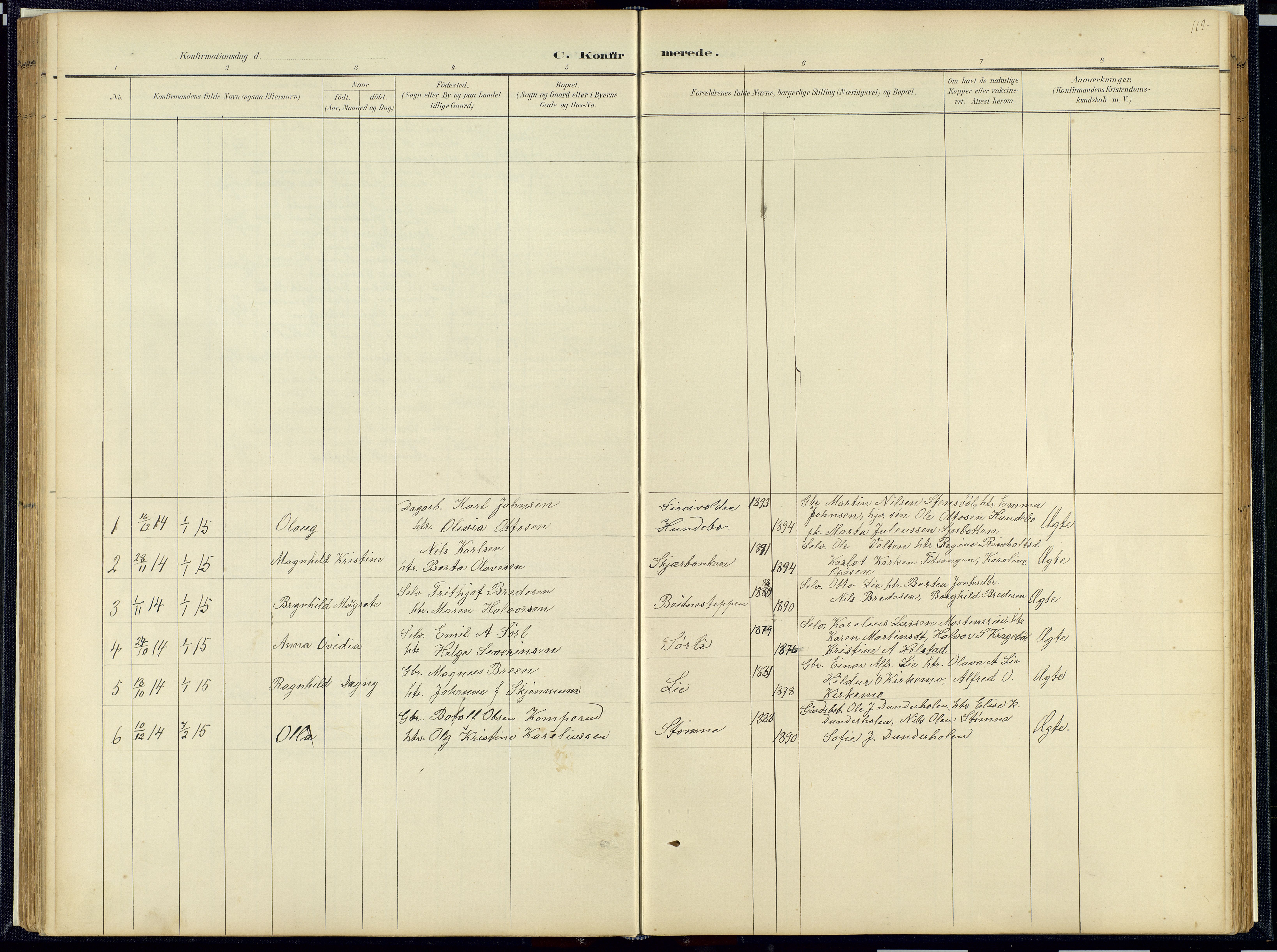 Hof prestekontor, SAH/PREST-038/H/Ha/Hab/L0001: Parish register (copy) no. 1, 1895-1914, p. 119