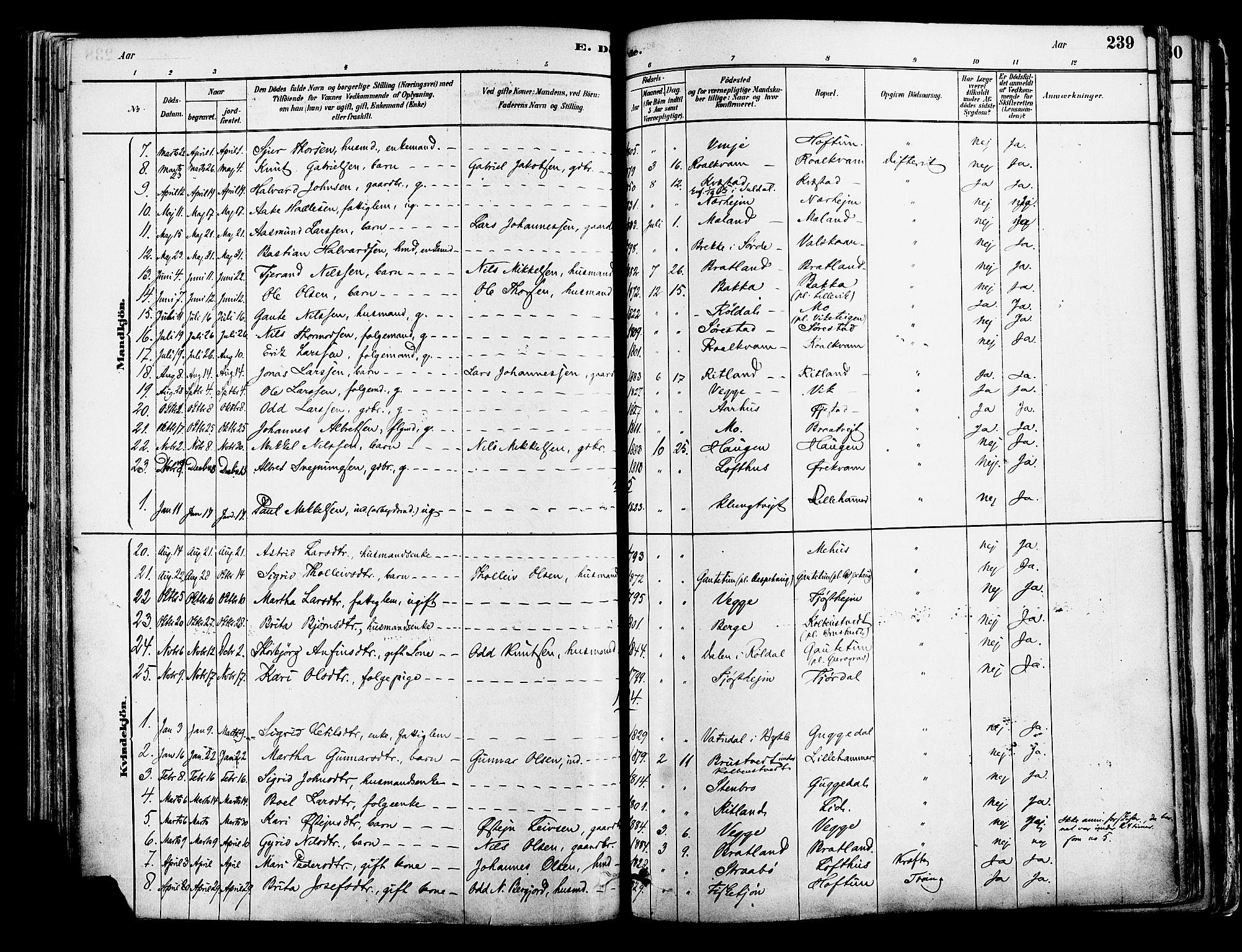 Suldal sokneprestkontor, AV/SAST-A-101845/01/IV/L0011: Parish register (official) no. A 11, 1878-1900, p. 239