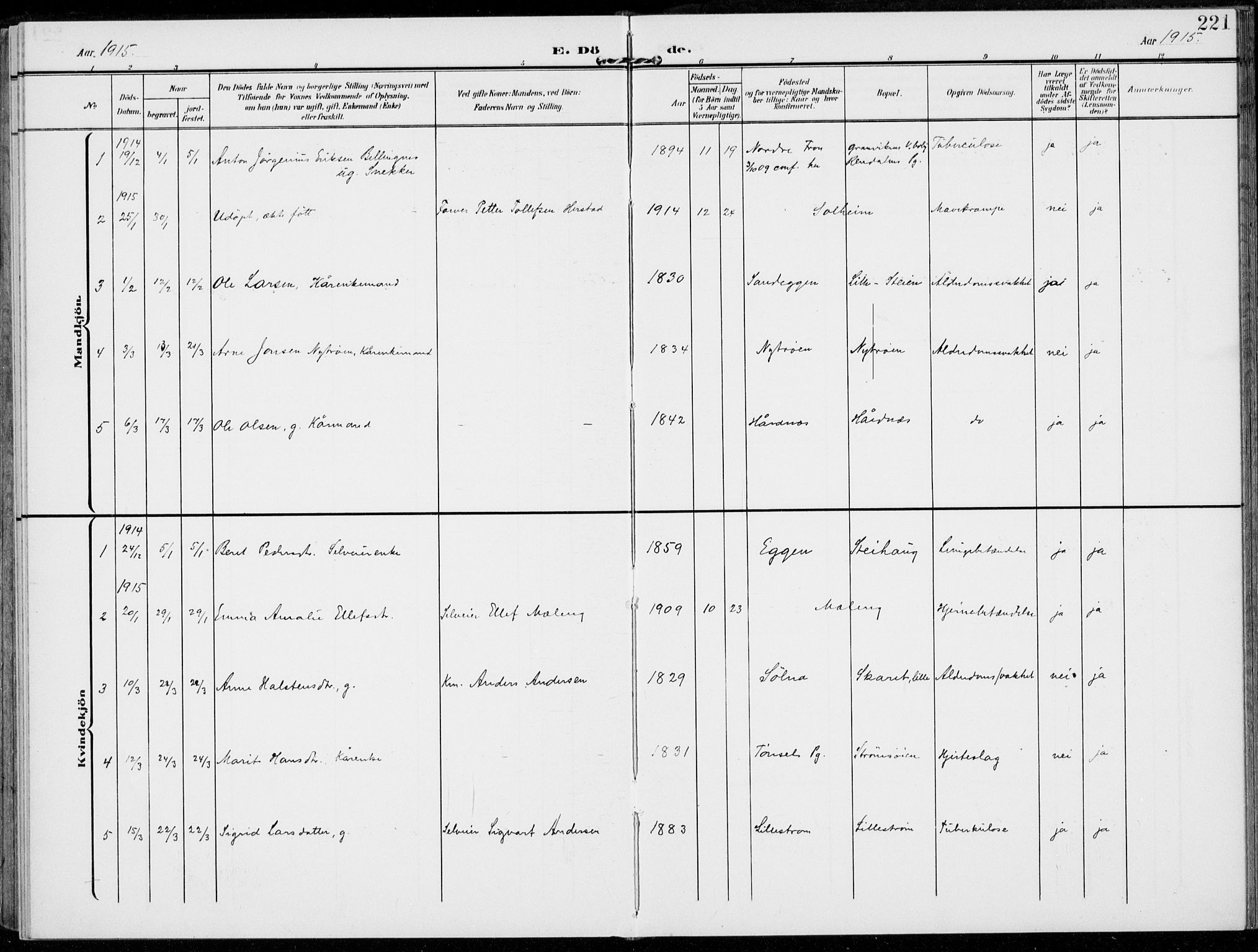 Alvdal prestekontor, SAH/PREST-060/H/Ha/Haa/L0004: Parish register (official) no. 4, 1907-1919, p. 221