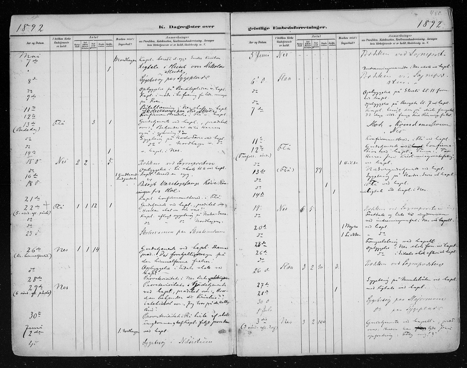 Nes kirkebøker, AV/SAKO-A-236/F/Fa/L0011: Parish register (official) no. 11, 1881-1912, p. 480