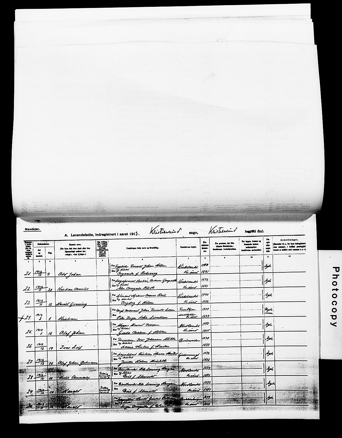 Ministerialprotokoller, klokkerbøker og fødselsregistre - Møre og Romsdal, AV/SAT-A-1454/572/L0861: Parish register (official) no. 572D05, 1913-1920