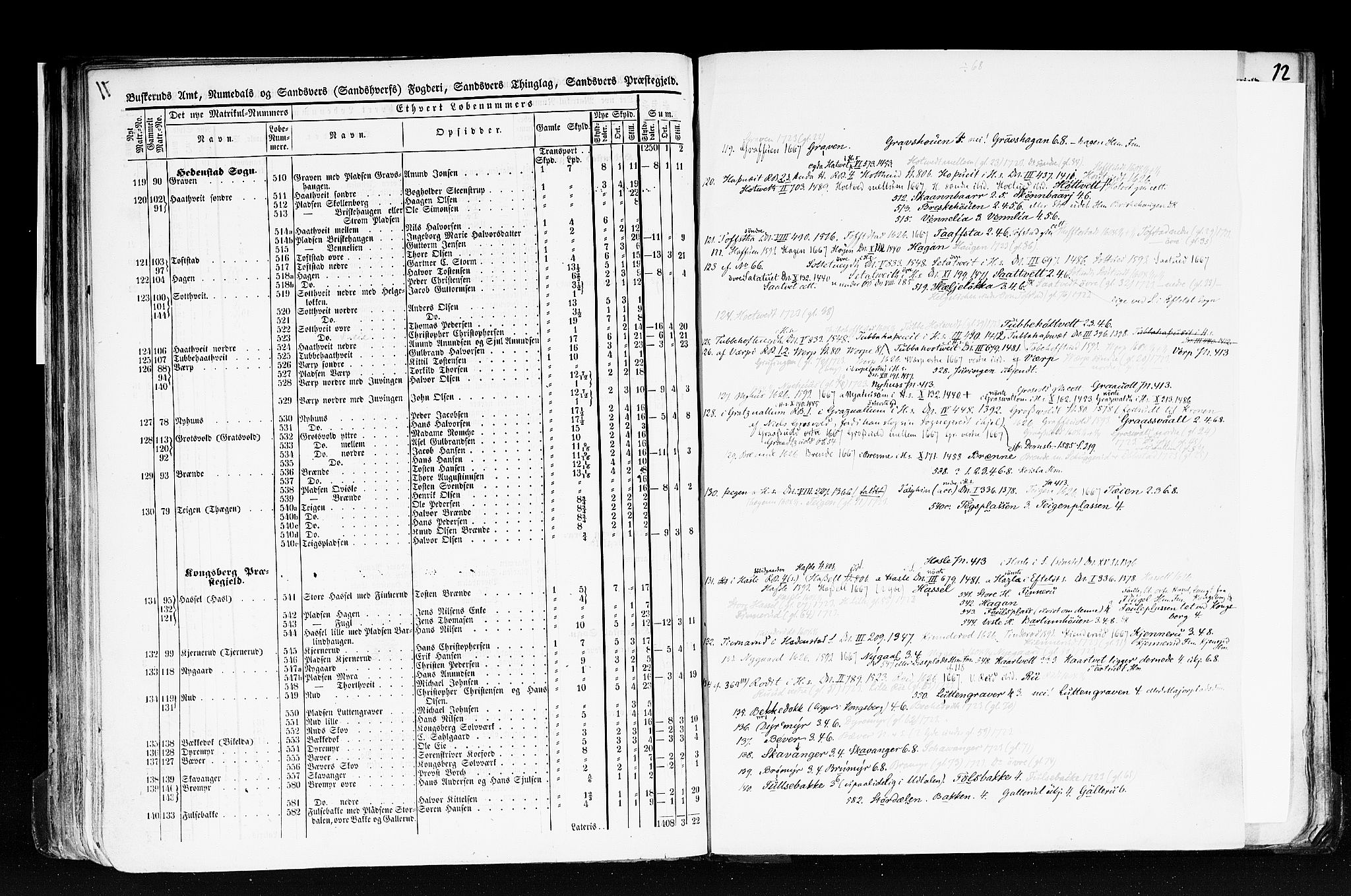 Rygh, AV/RA-PA-0034/F/Fb/L0005: Matrikkelen for 1838 - Buskerud amt (Buskerud fylke), 1838, p. 71b