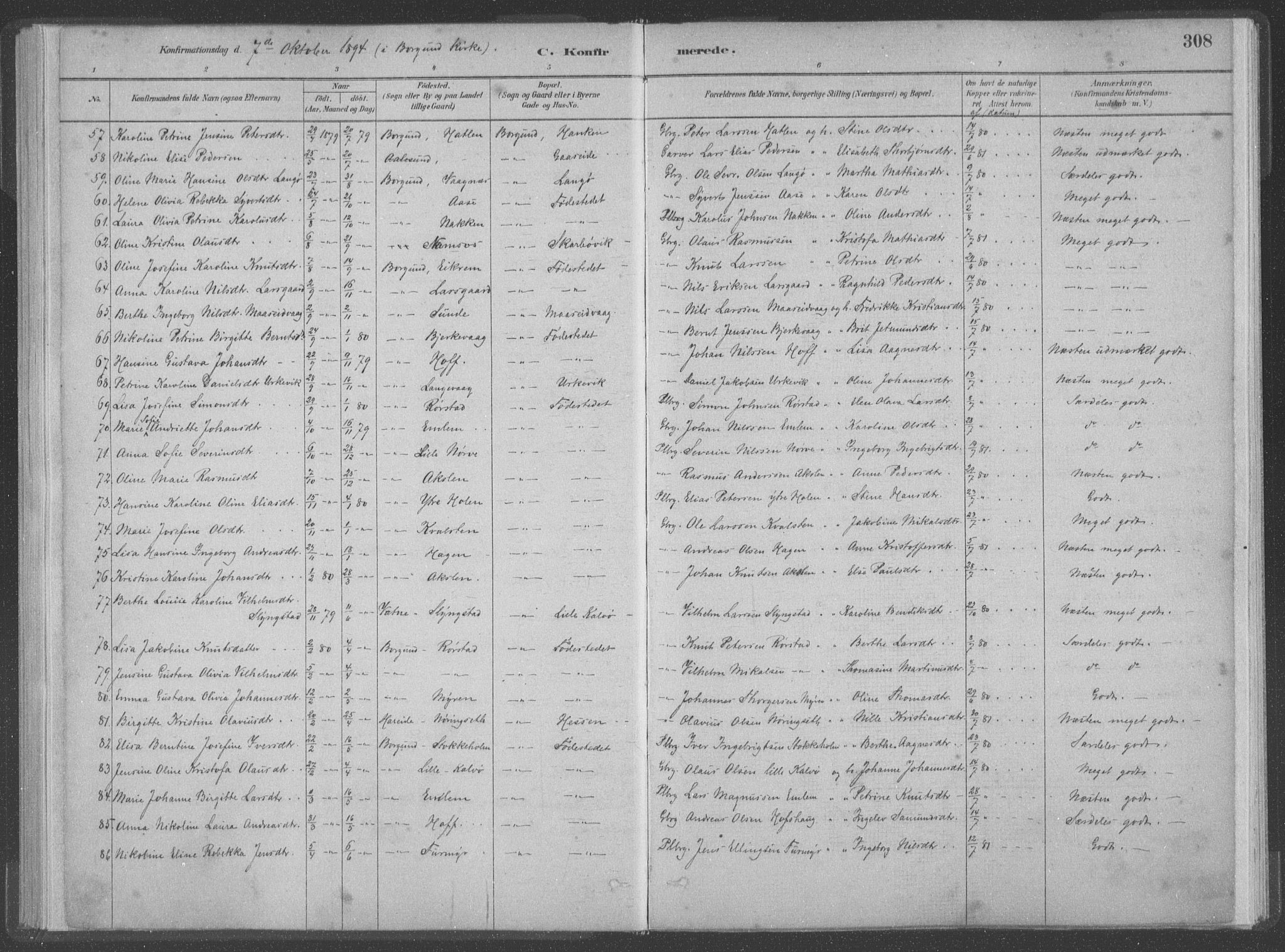 Ministerialprotokoller, klokkerbøker og fødselsregistre - Møre og Romsdal, AV/SAT-A-1454/528/L0402: Parish register (official) no. 528A12II, 1880-1903, p. 308