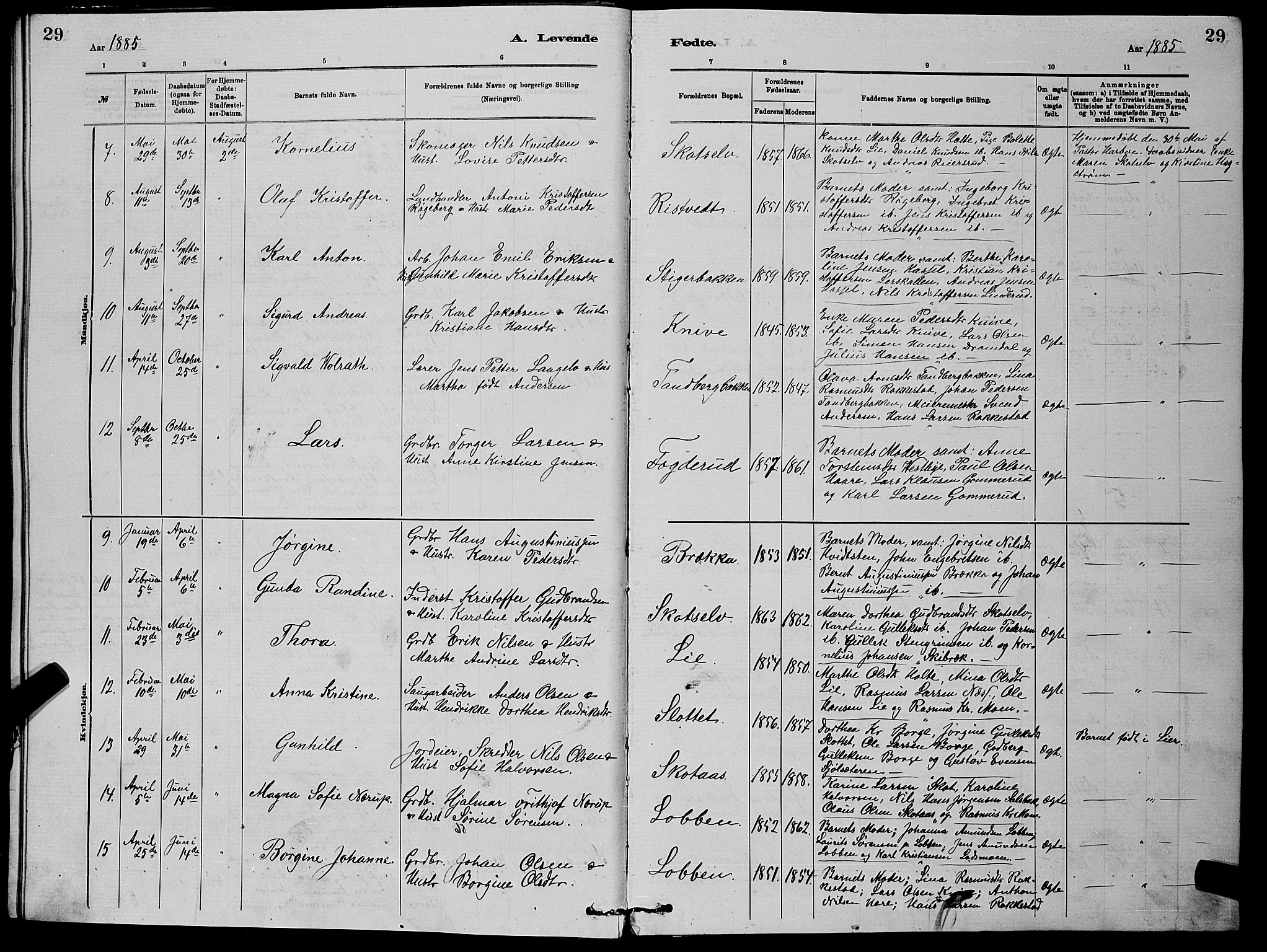 Eiker kirkebøker, AV/SAKO-A-4/G/Gb/L0003: Parish register (copy) no. II 3, 1880-1893, p. 29