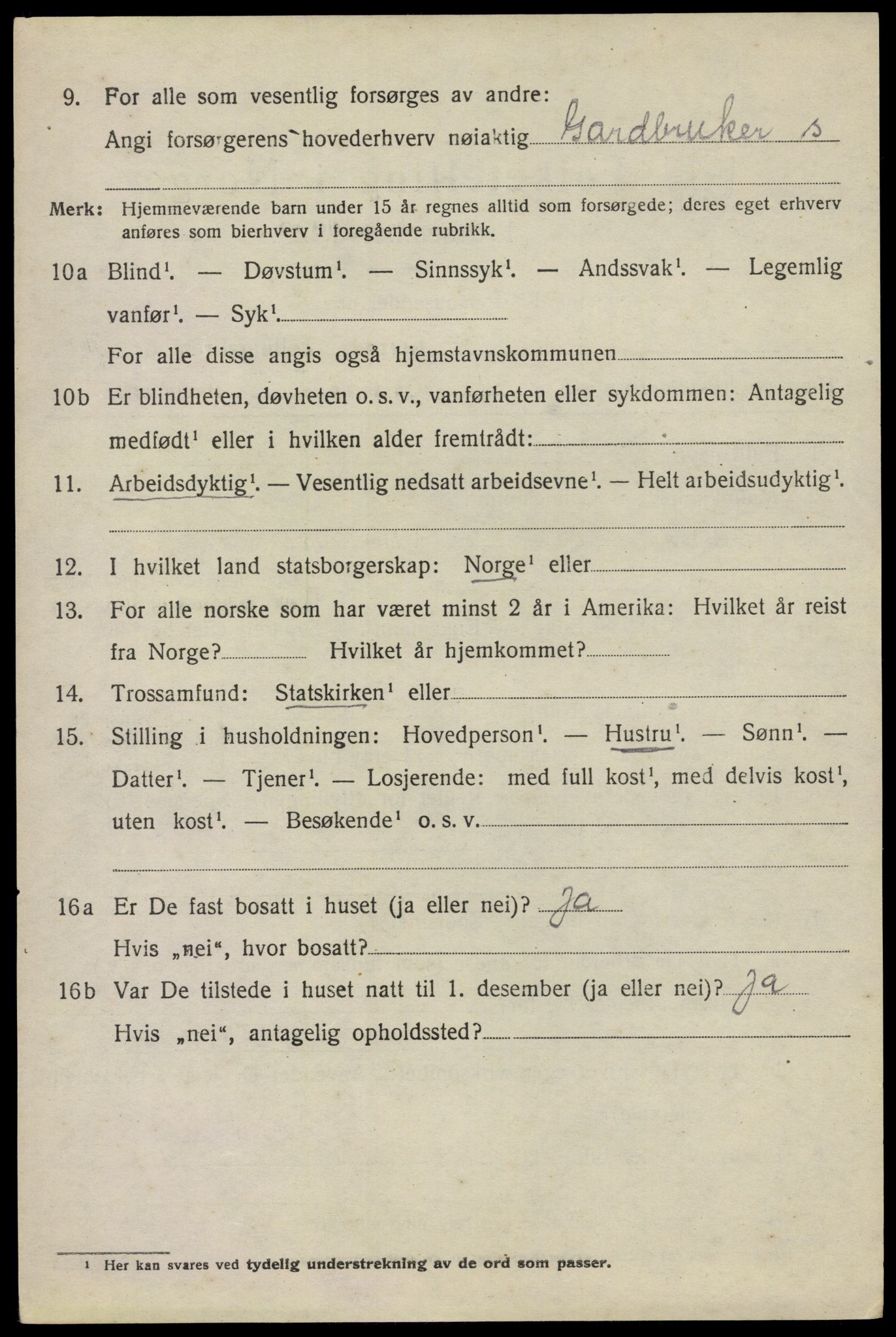 SAO, 1920 census for Nes, 1920, p. 21067