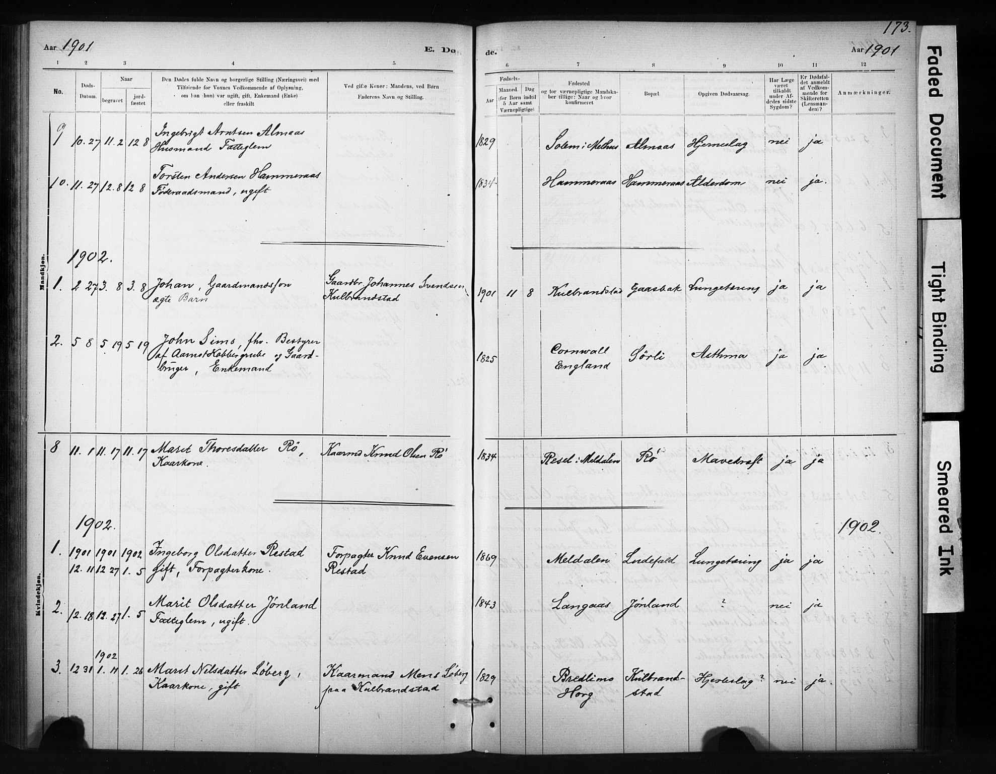 Ministerialprotokoller, klokkerbøker og fødselsregistre - Sør-Trøndelag, AV/SAT-A-1456/694/L1127: Parish register (official) no. 694A01, 1887-1905, p. 173