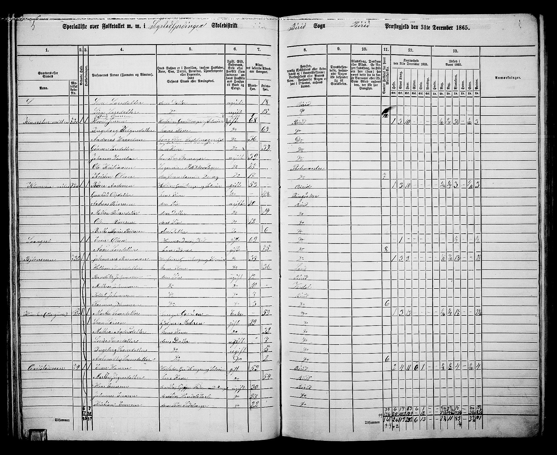 RA, 1865 census for Biri, 1865, p. 70