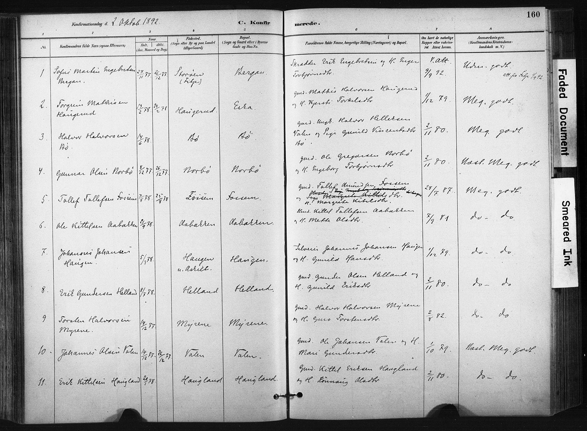 Bø kirkebøker, SAKO/A-257/F/Fa/L0010: Parish register (official) no. 10, 1880-1892, p. 160