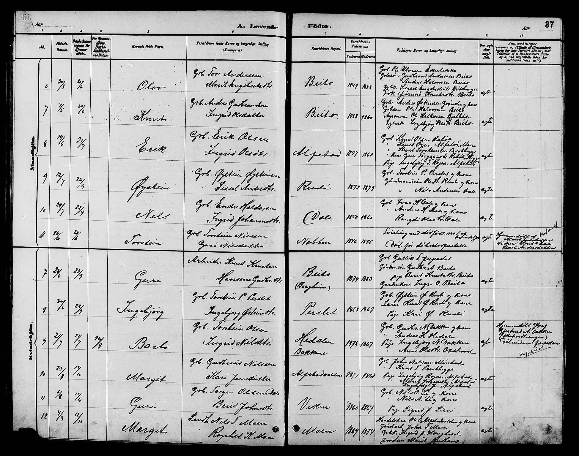 Øystre Slidre prestekontor, AV/SAH-PREST-138/H/Ha/Hab/L0004: Parish register (copy) no. 4, 1887-1907, p. 37