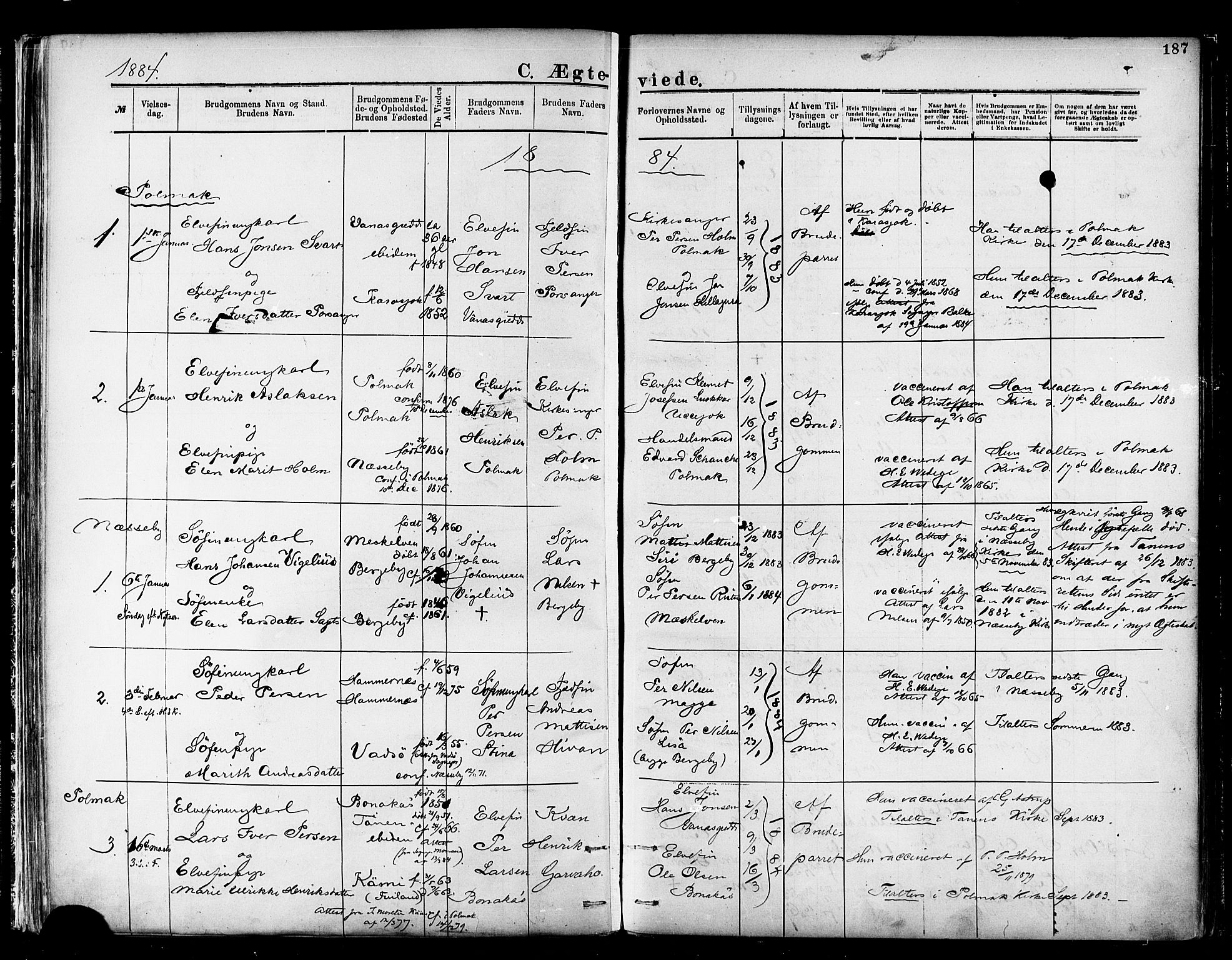 Nesseby sokneprestkontor, SATØ/S-1330/H/Ha/L0004kirke: Parish register (official) no. 4, 1877-1884, p. 187