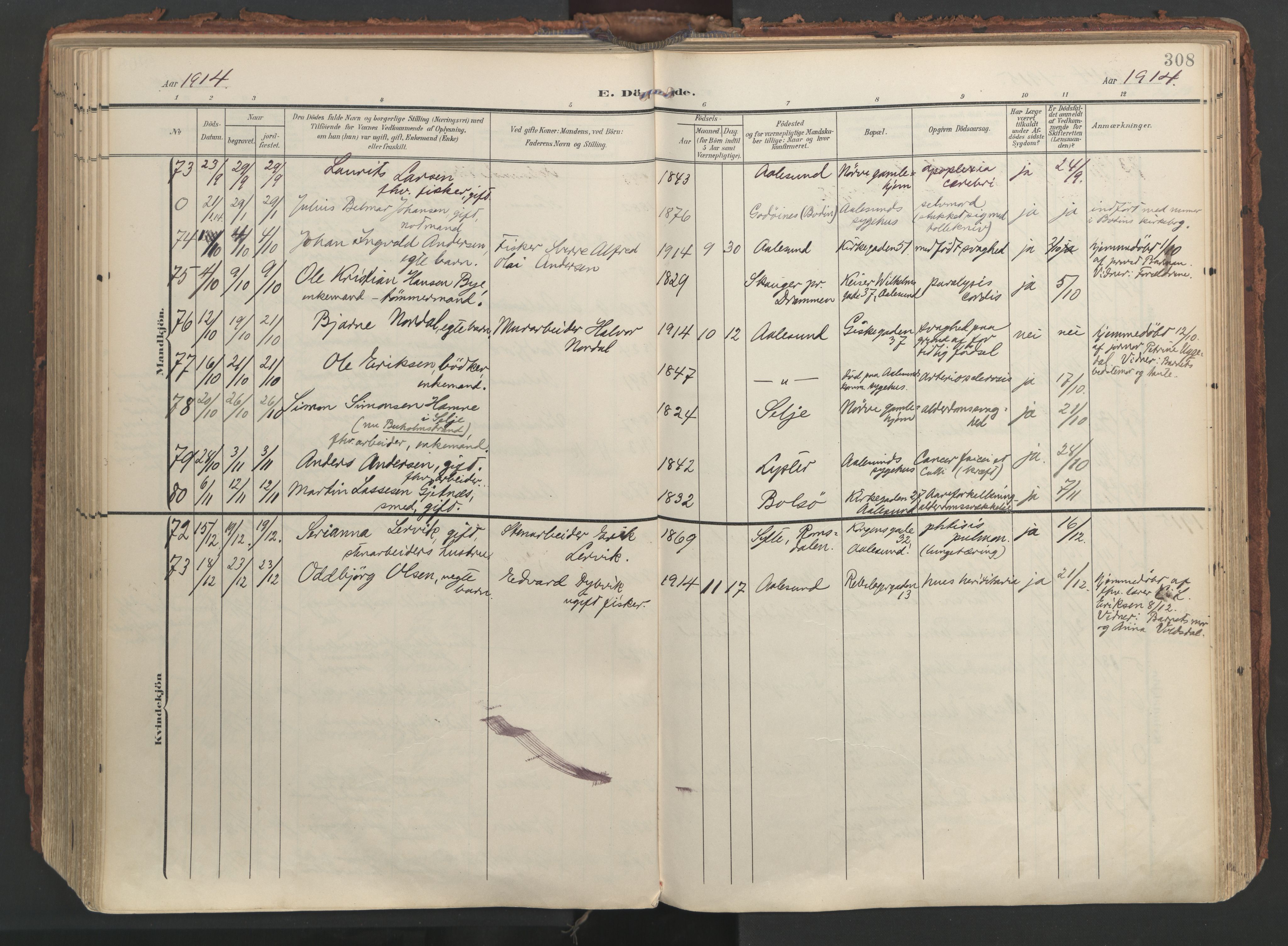 Ministerialprotokoller, klokkerbøker og fødselsregistre - Møre og Romsdal, AV/SAT-A-1454/529/L0459: Parish register (official) no. 529A09, 1904-1917, p. 308