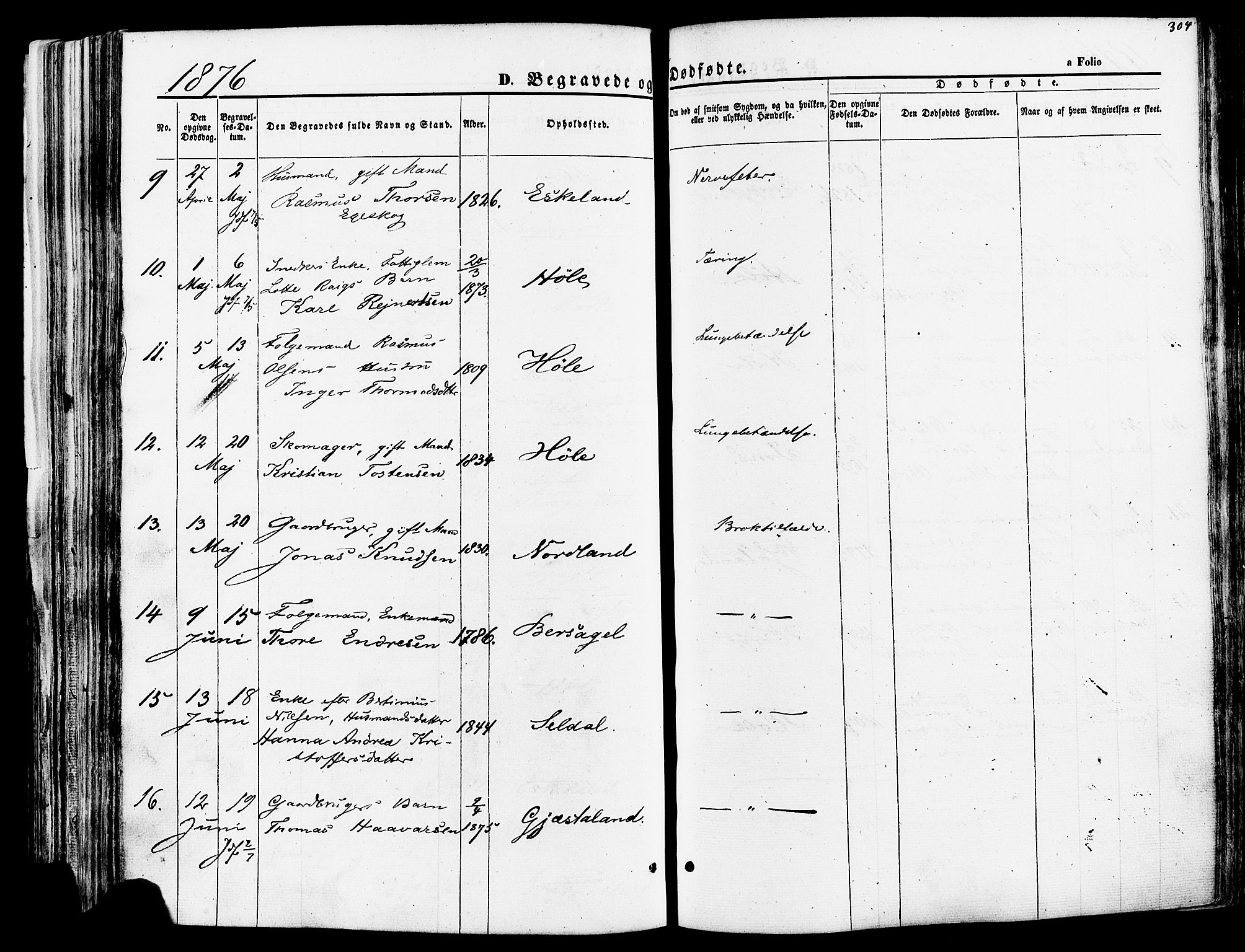 Høgsfjord sokneprestkontor, AV/SAST-A-101624/H/Ha/Haa/L0002: Parish register (official) no. A 2, 1855-1885, p. 304