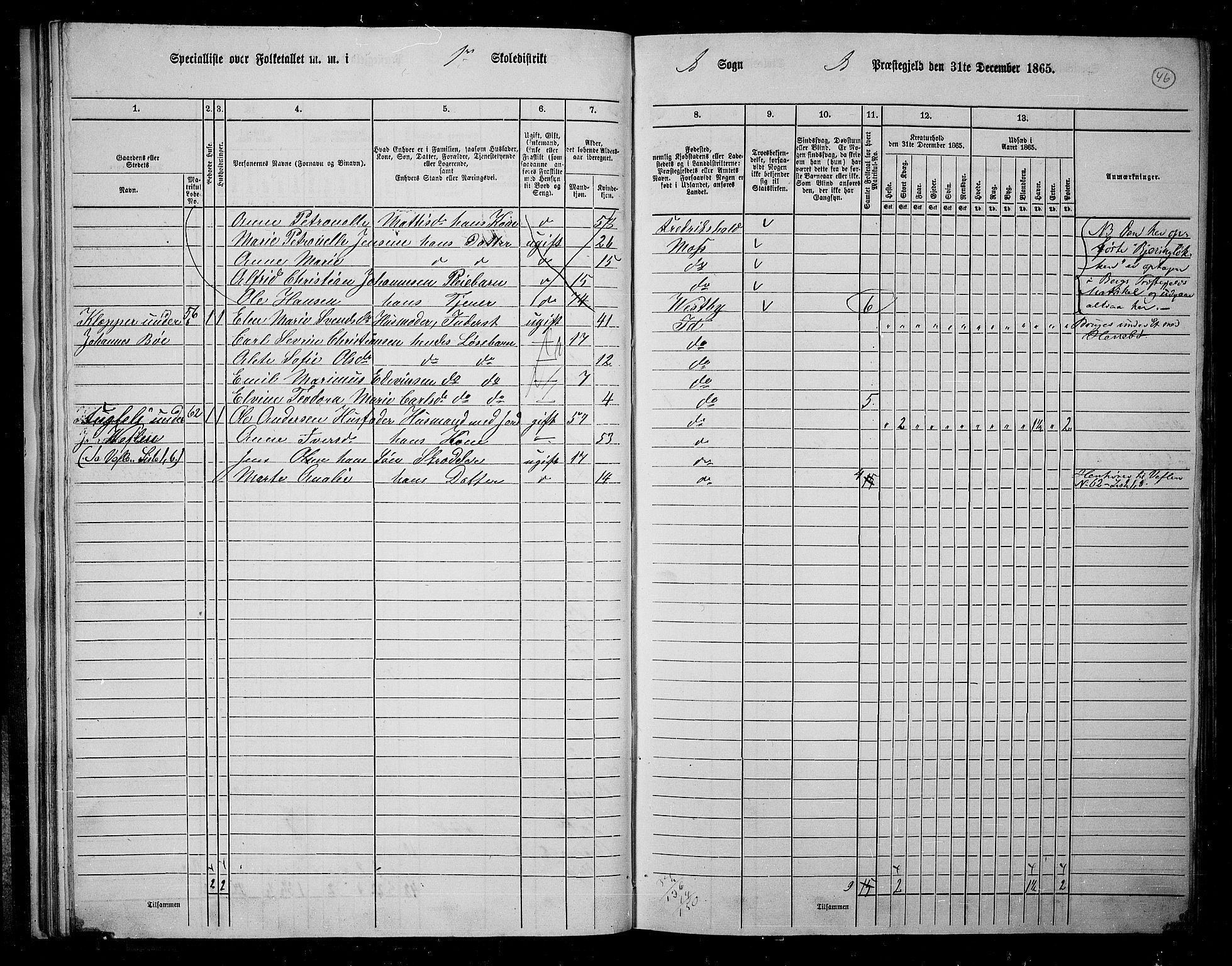 RA, 1865 census for Idd, 1865, p. 44