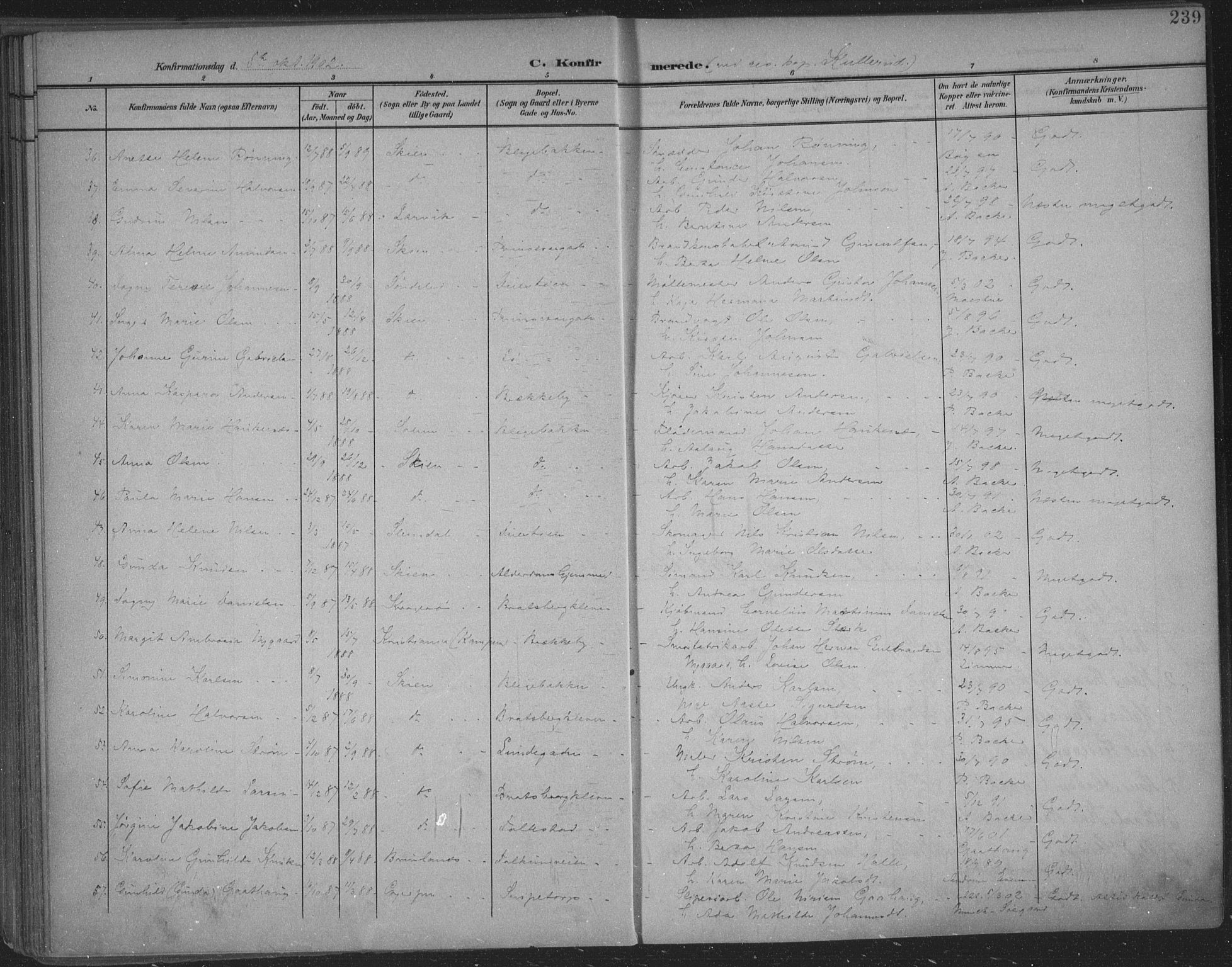 Skien kirkebøker, SAKO/A-302/F/Fa/L0011: Parish register (official) no. 11, 1900-1907, p. 239