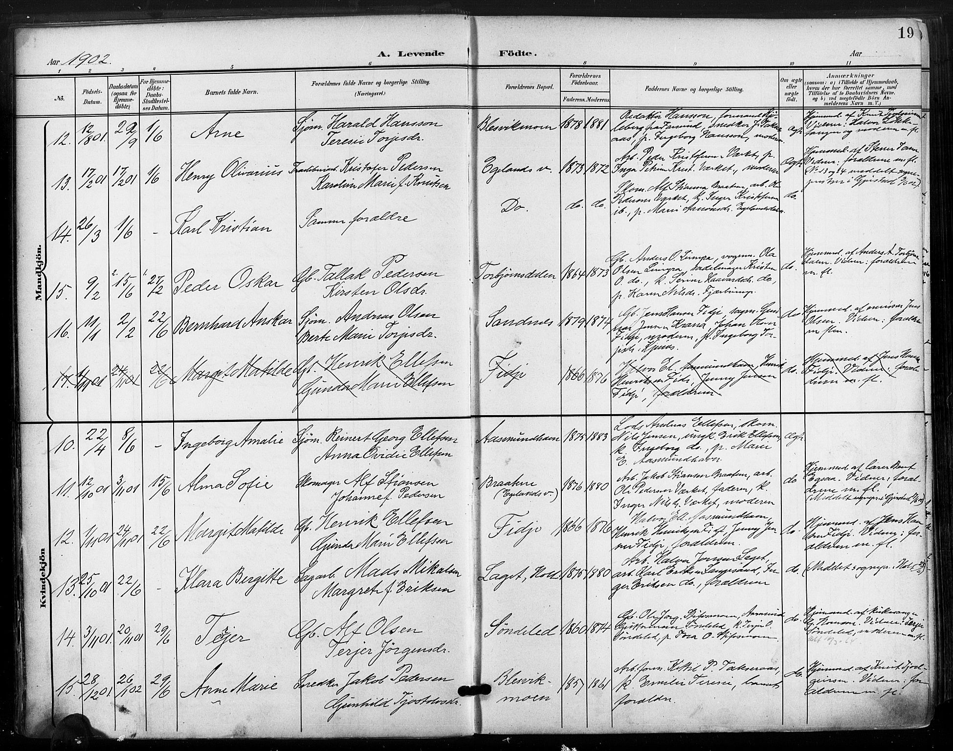 Søndeled sokneprestkontor, AV/SAK-1111-0038/F/Fa/L0006: Parish register (official) no. A 6, 1900-1922, p. 19