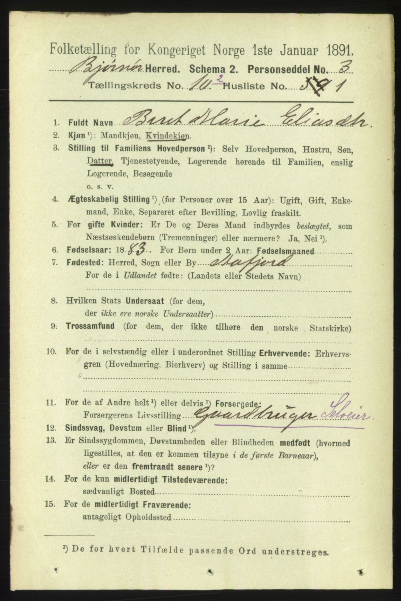 RA, 1891 census for 1632 Bjørnør, 1891, p. 4541