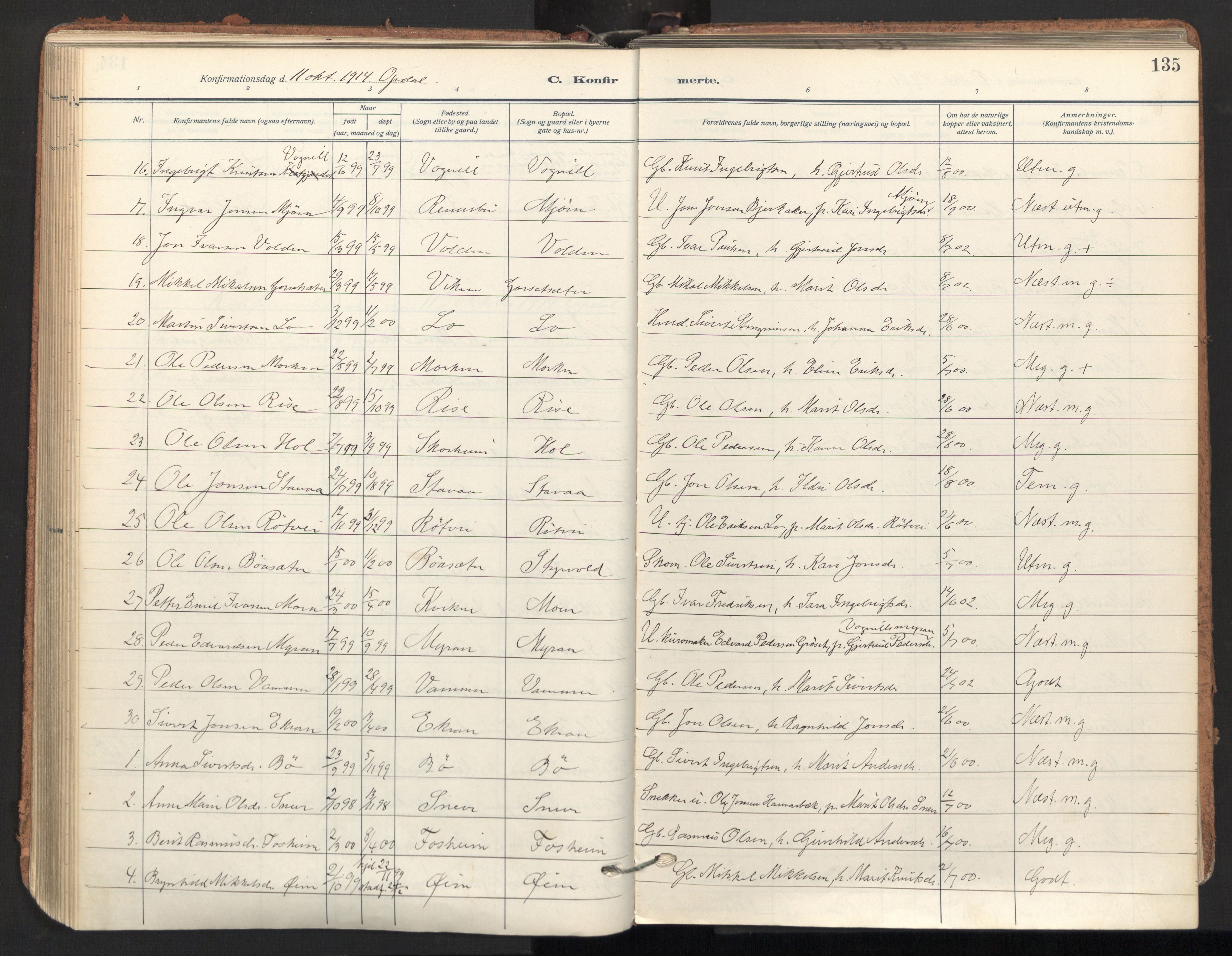 Ministerialprotokoller, klokkerbøker og fødselsregistre - Sør-Trøndelag, AV/SAT-A-1456/678/L0909: Parish register (official) no. 678A17, 1912-1930, p. 135