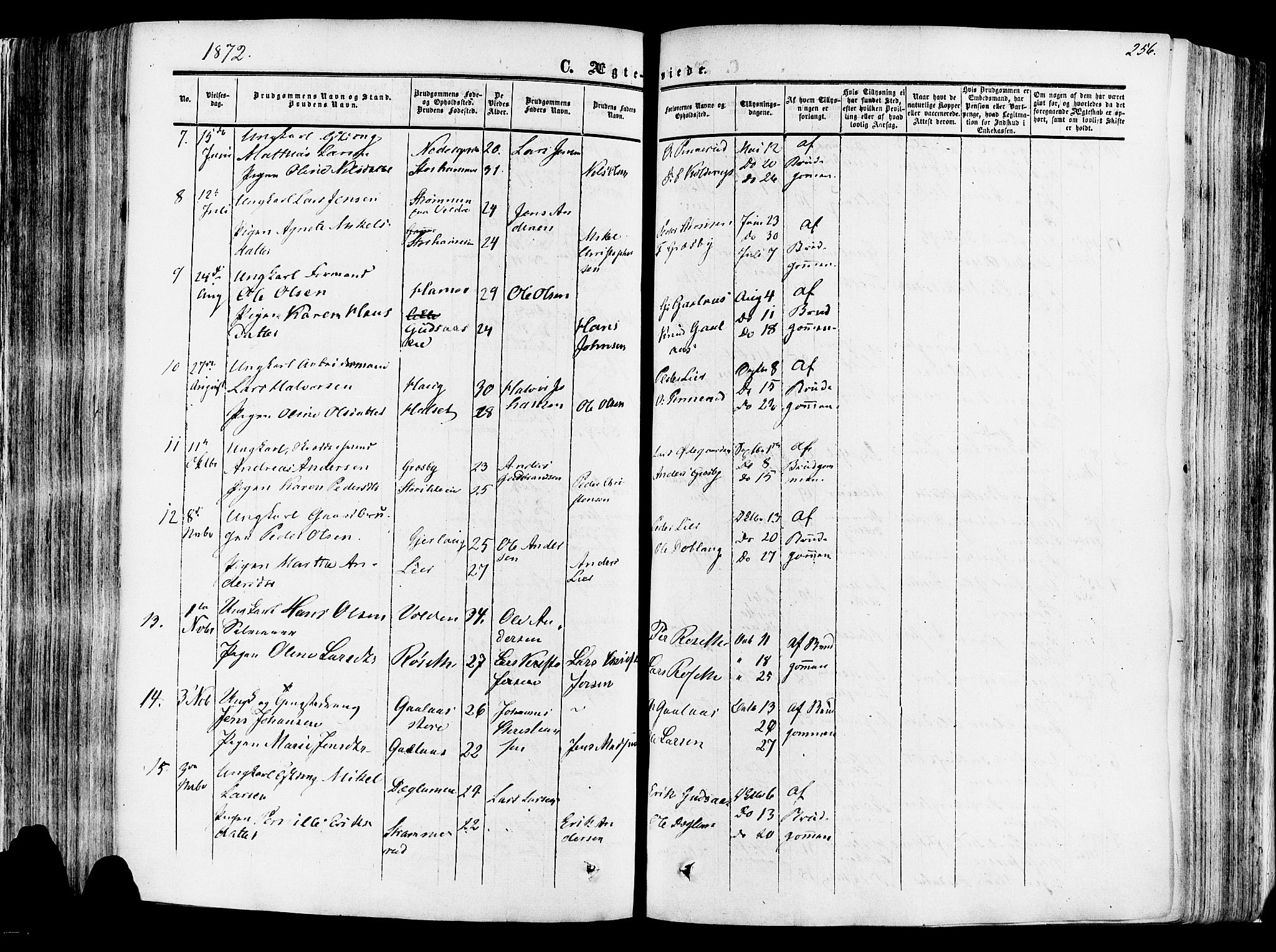 Vang prestekontor, Hedmark, SAH/PREST-008/H/Ha/Haa/L0013: Parish register (official) no. 13, 1855-1879, p. 256