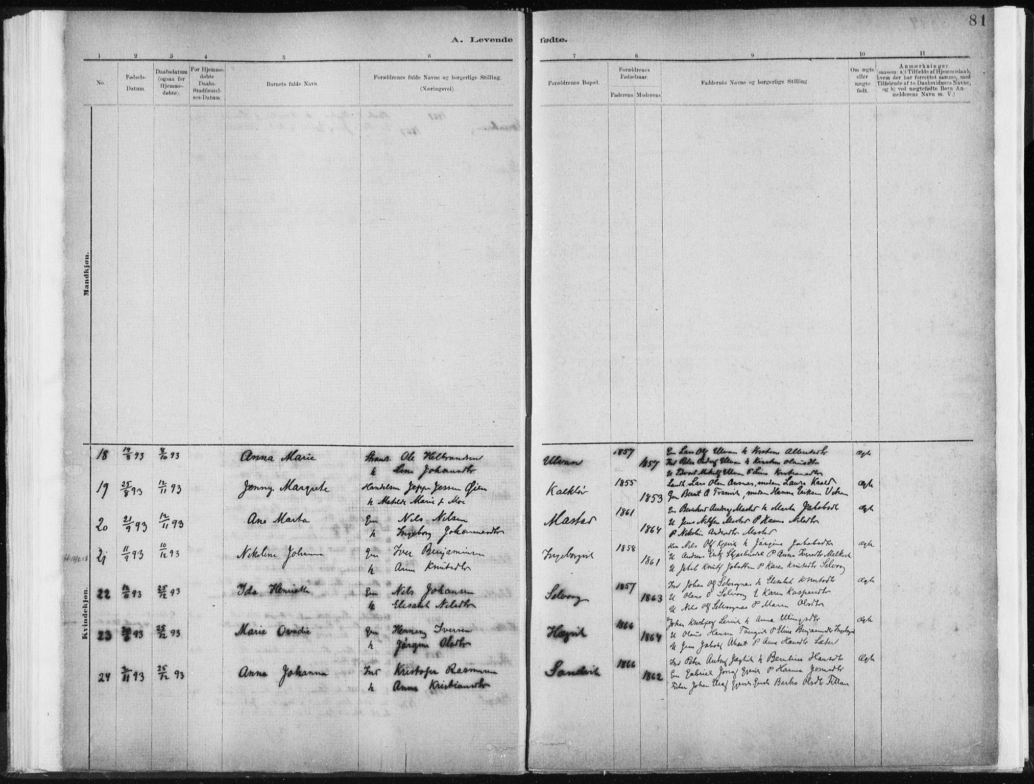 Ministerialprotokoller, klokkerbøker og fødselsregistre - Sør-Trøndelag, SAT/A-1456/637/L0558: Parish register (official) no. 637A01, 1882-1899, p. 81