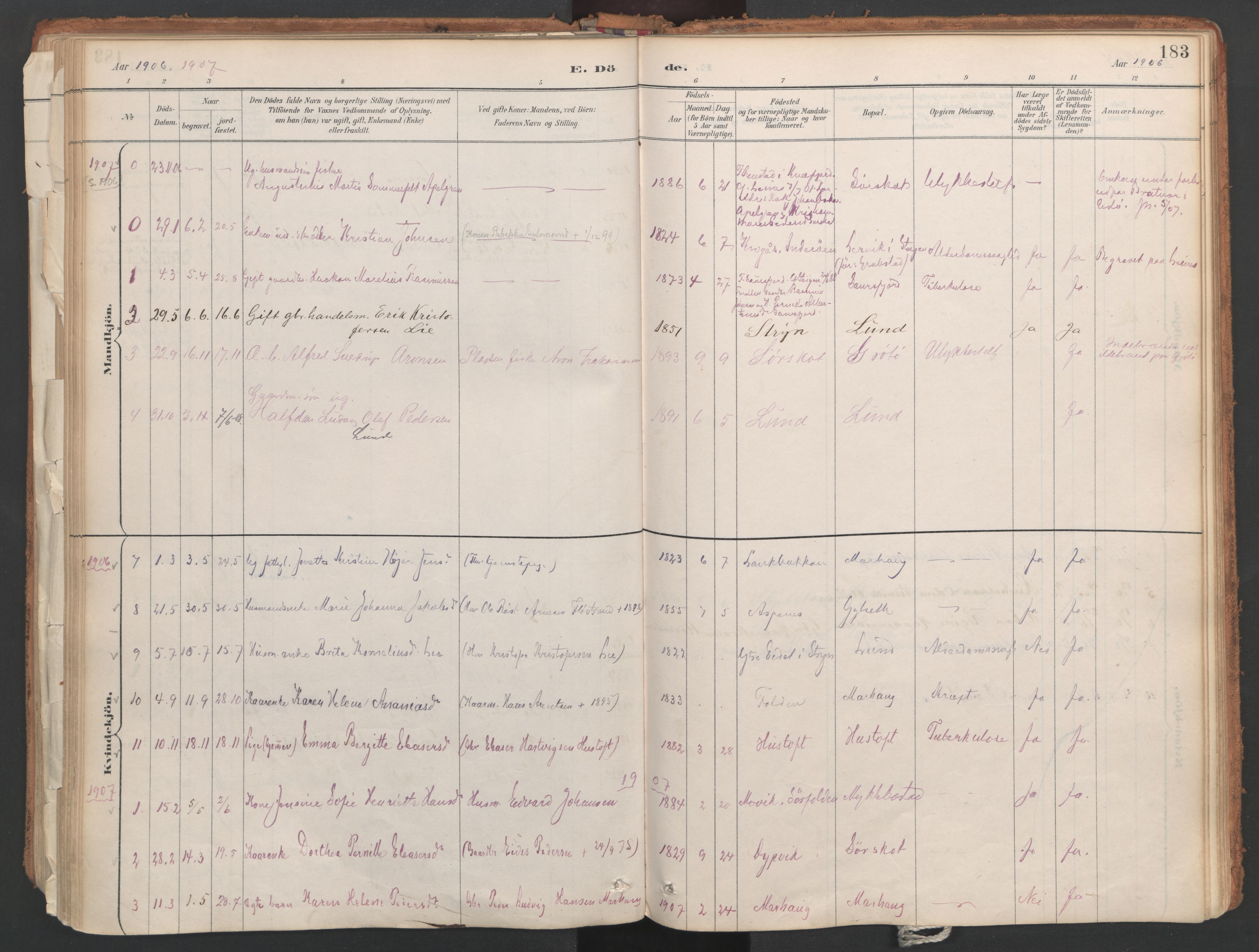 Ministerialprotokoller, klokkerbøker og fødselsregistre - Nordland, AV/SAT-A-1459/857/L0822: Parish register (official) no. 857A02, 1890-1917, p. 183