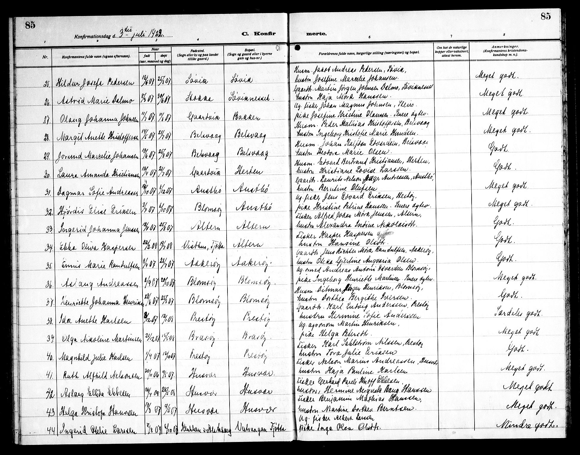 Ministerialprotokoller, klokkerbøker og fødselsregistre - Nordland, AV/SAT-A-1459/830/L0466: Parish register (copy) no. 830C08, 1920-1945, p. 85