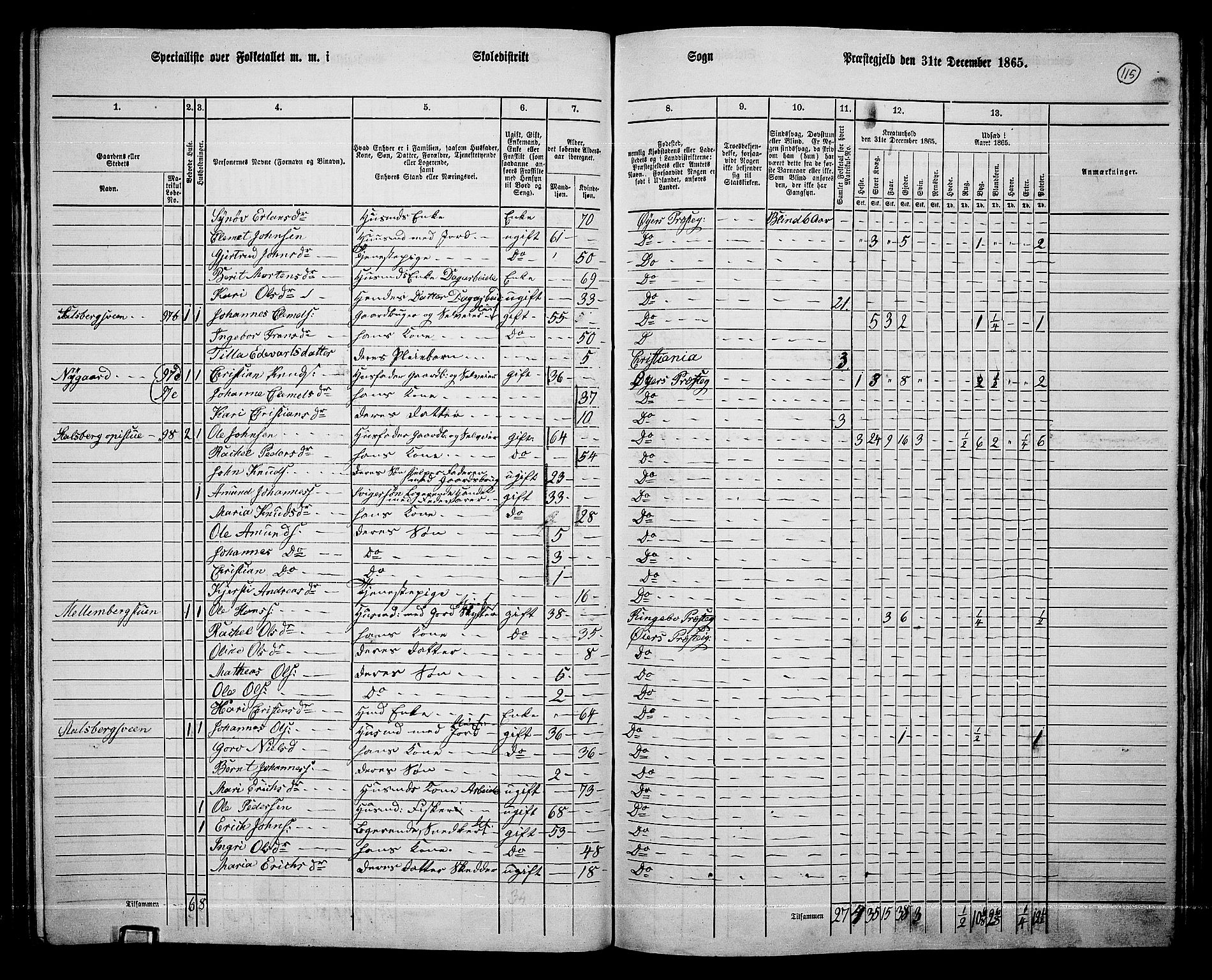 RA, 1865 census for Øyer, 1865, p. 101