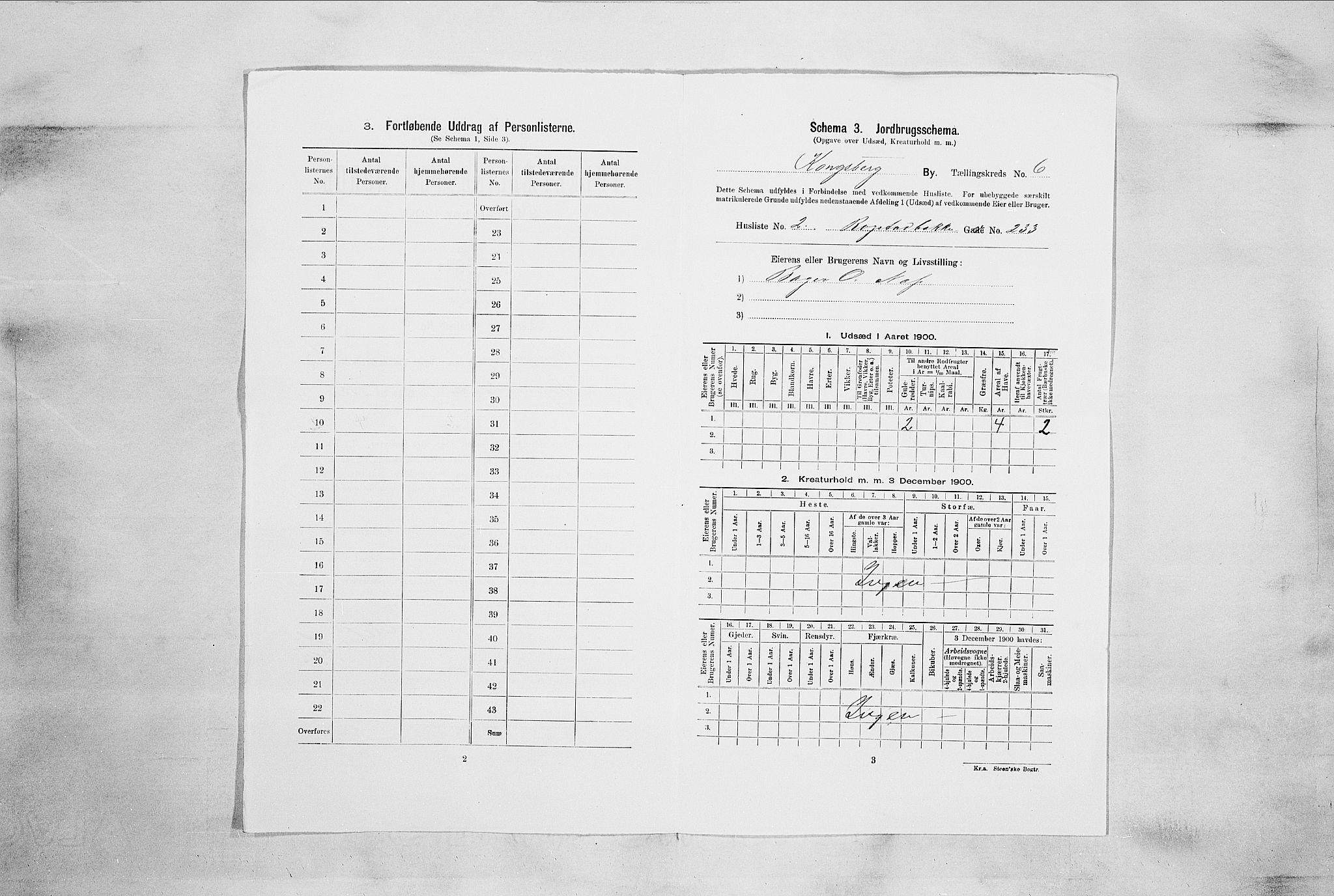 RA, 1900 census for Kongsberg, 1900, p. 1041