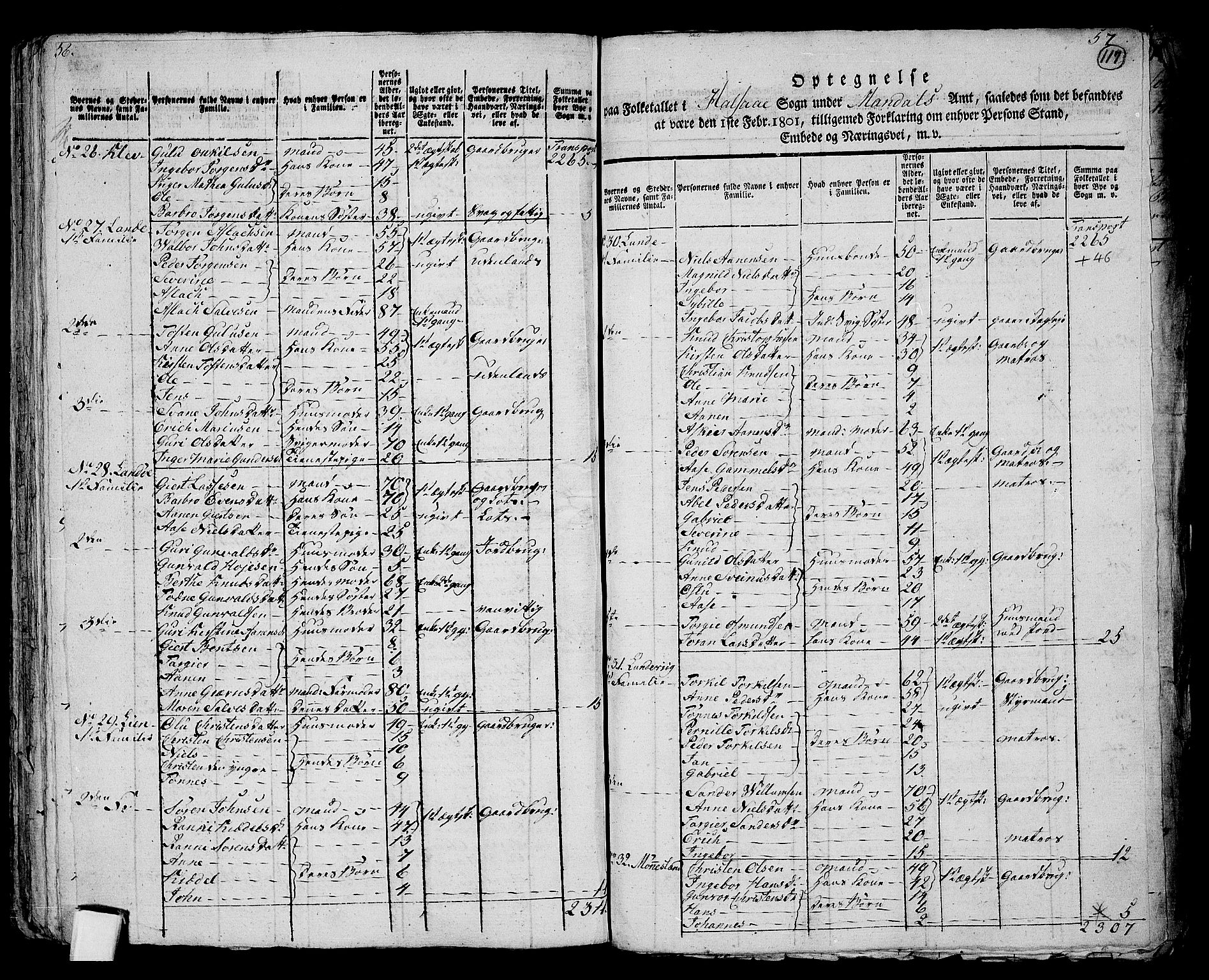 RA, 1801 census for 1019P Mandal, 1801, p. 116b-117a