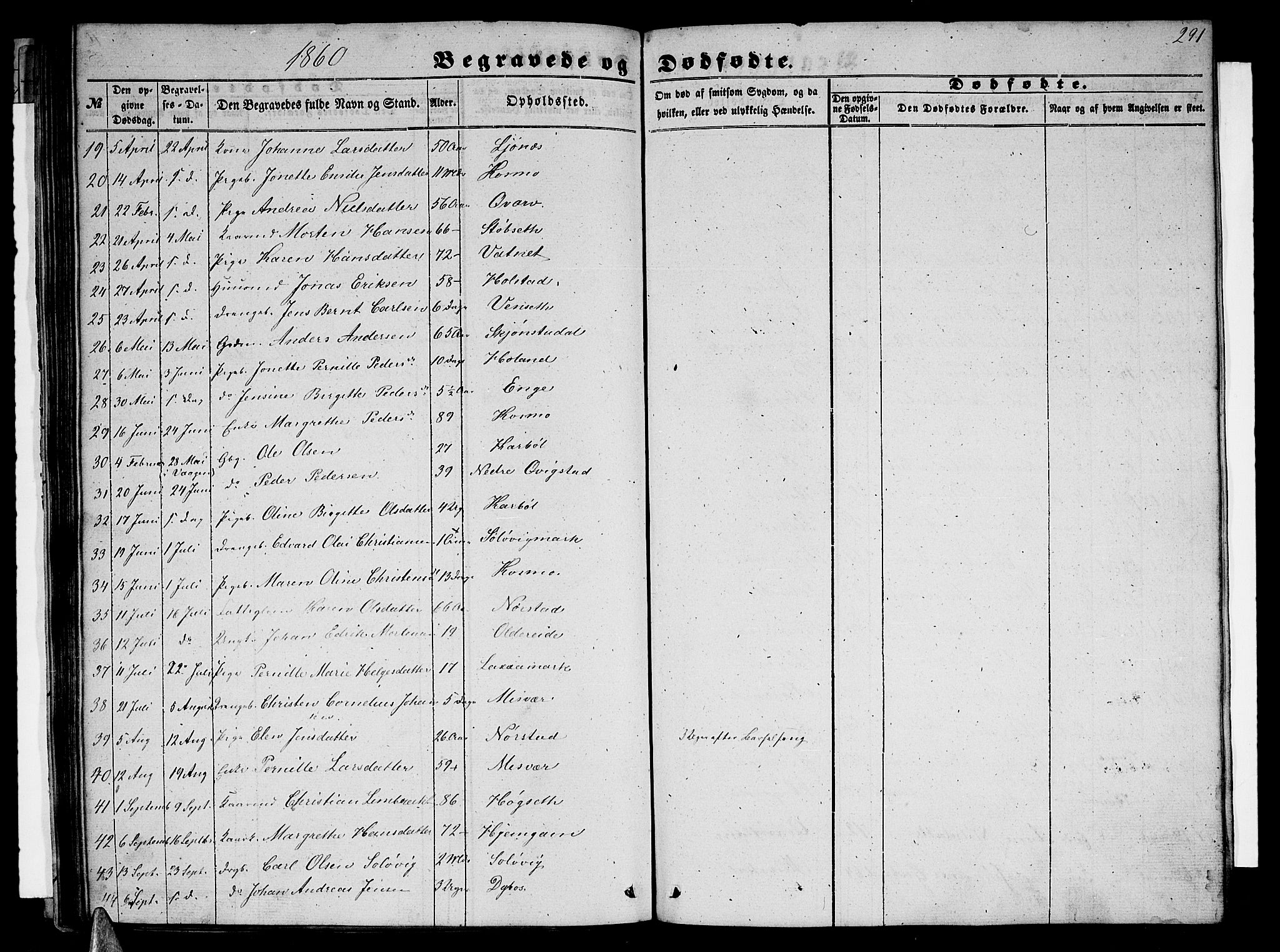 Ministerialprotokoller, klokkerbøker og fødselsregistre - Nordland, AV/SAT-A-1459/852/L0753: Parish register (copy) no. 852C04, 1856-1877, p. 291