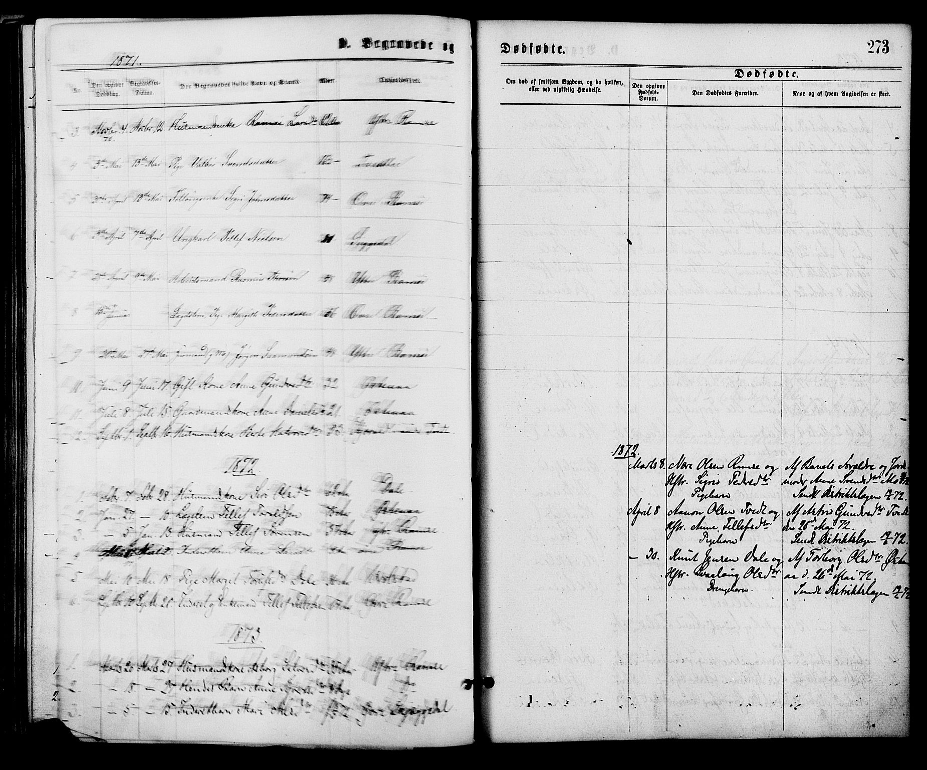 Åmli sokneprestkontor, SAK/1111-0050/F/Fa/Fac/L0009: Parish register (official) no. A 9 /3, 1869-1884, p. 273