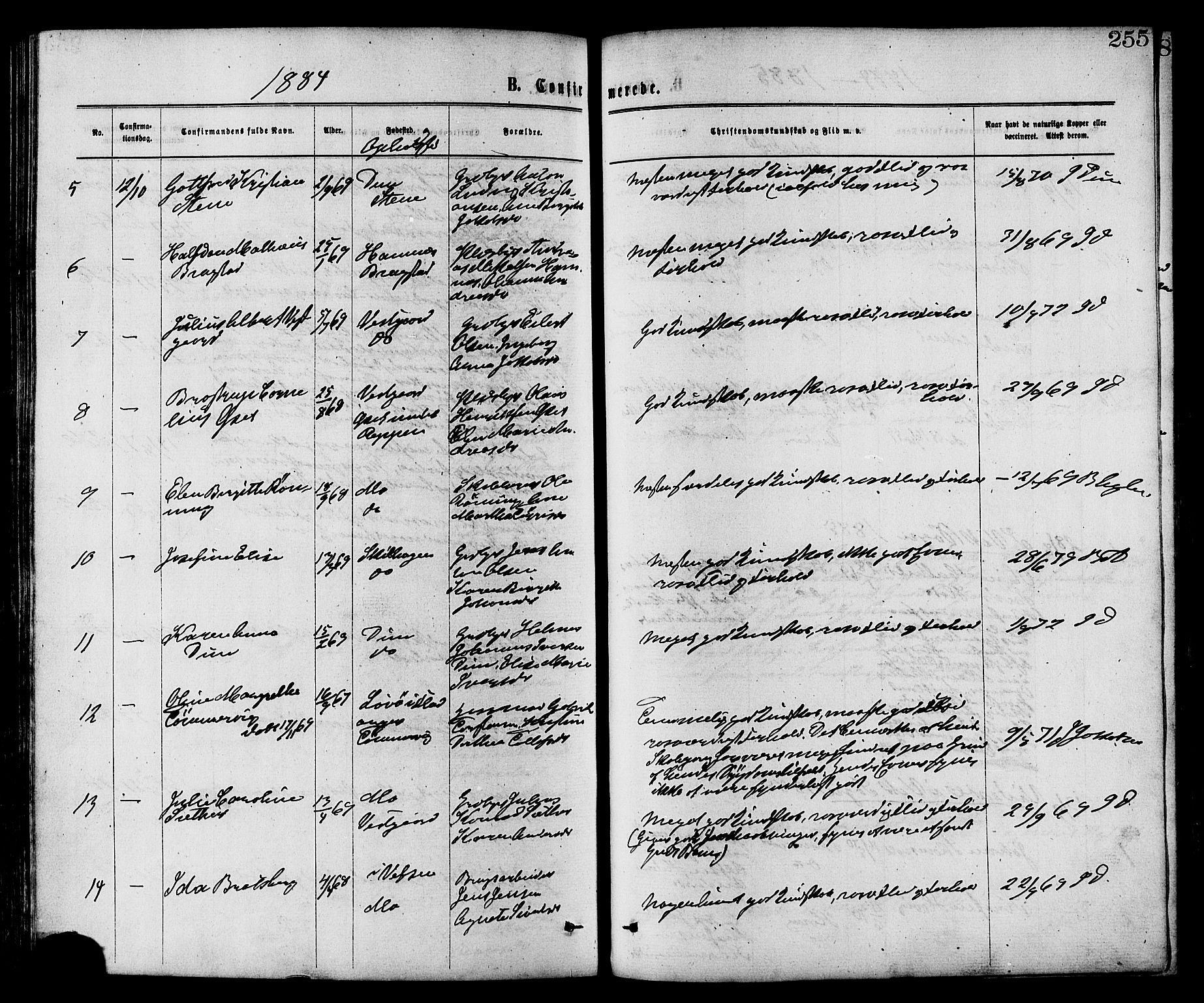Ministerialprotokoller, klokkerbøker og fødselsregistre - Nord-Trøndelag, SAT/A-1458/773/L0616: Parish register (official) no. 773A07, 1870-1887, p. 255