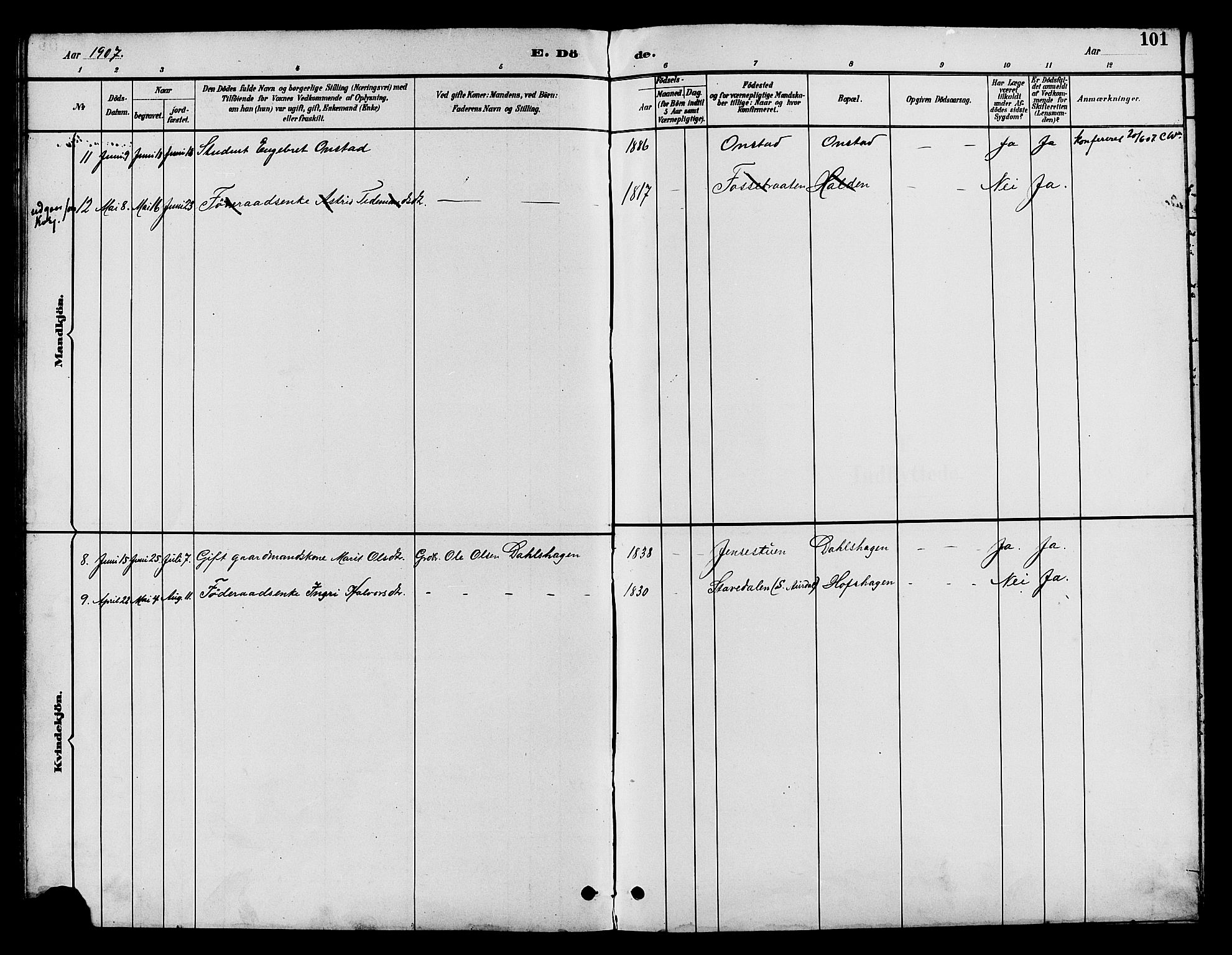 Nord-Aurdal prestekontor, SAH/PREST-132/H/Ha/Hab/L0010: Parish register (copy) no. 10, 1892-1907, p. 101