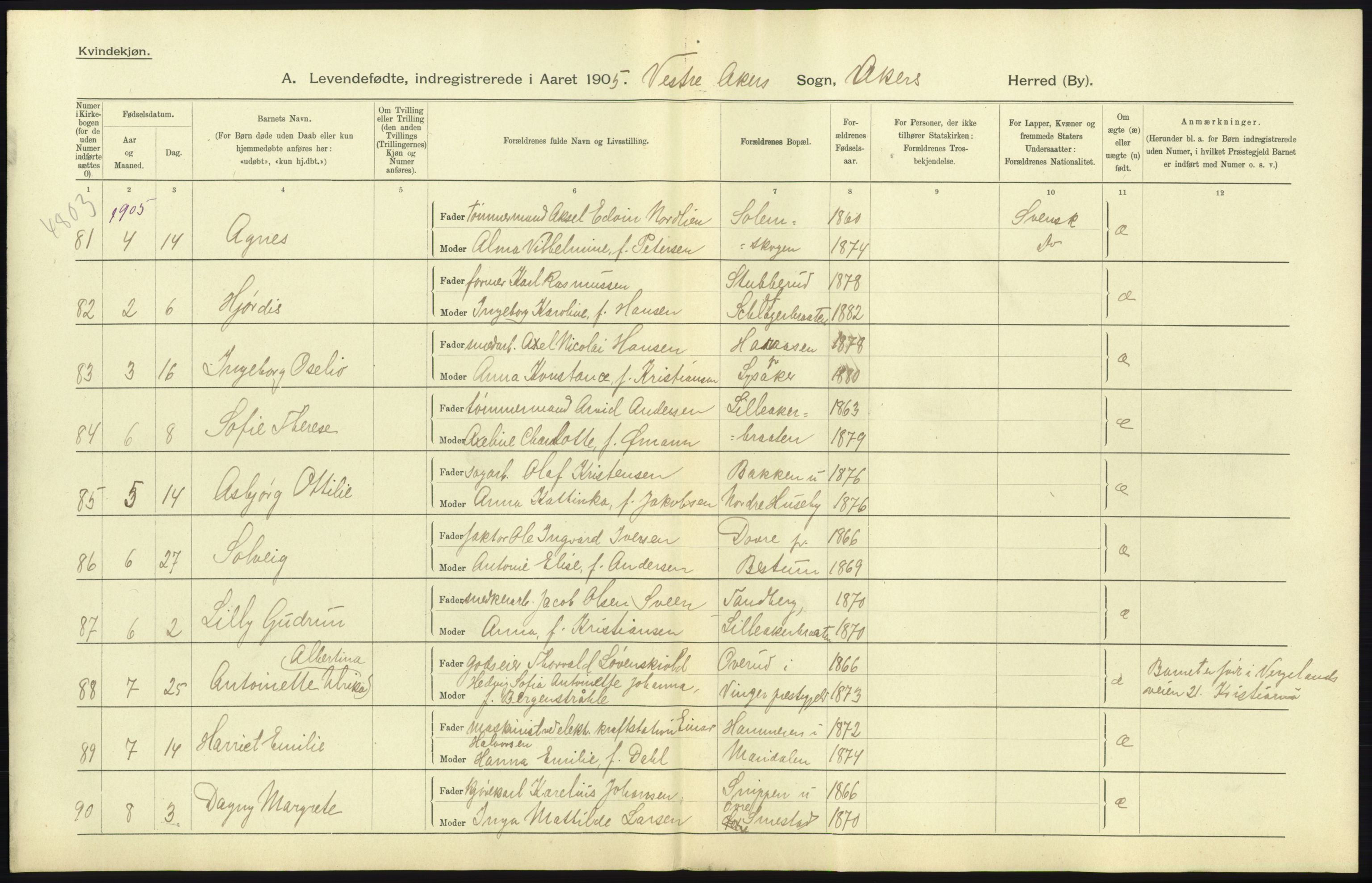 Statistisk sentralbyrå, Sosiodemografiske emner, Befolkning, RA/S-2228/D/Df/Dfa/Dfac/L0004: Akershus amt: Fødte. Bygder., 1905, p. 21