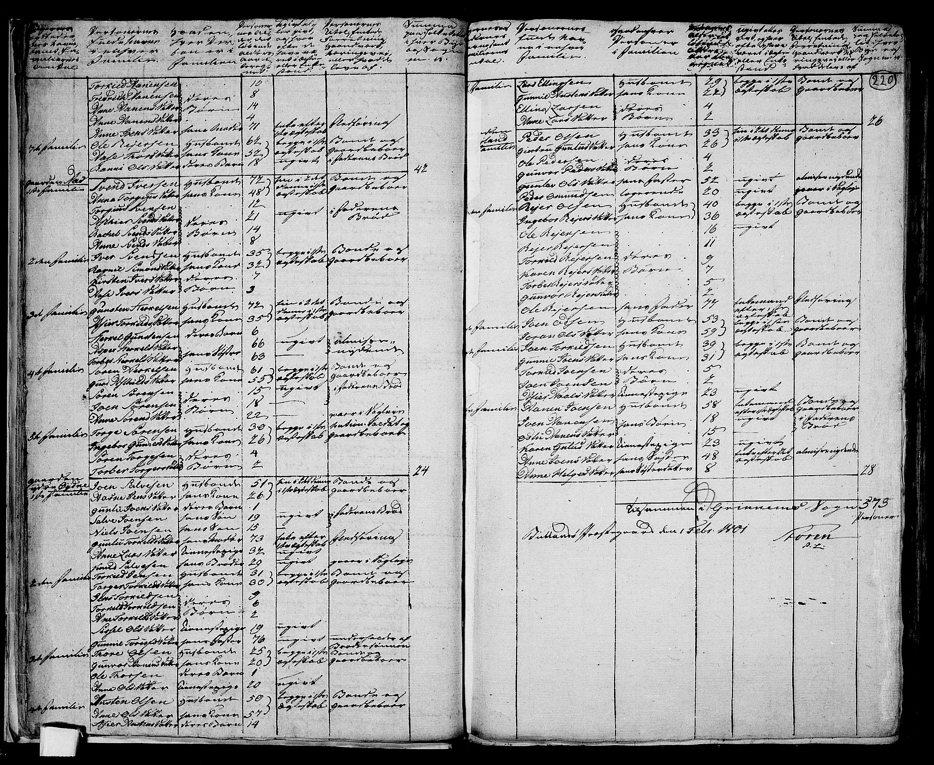 RA, 1801 census for 1024P Bjelland, 1801, p. 219b-220a