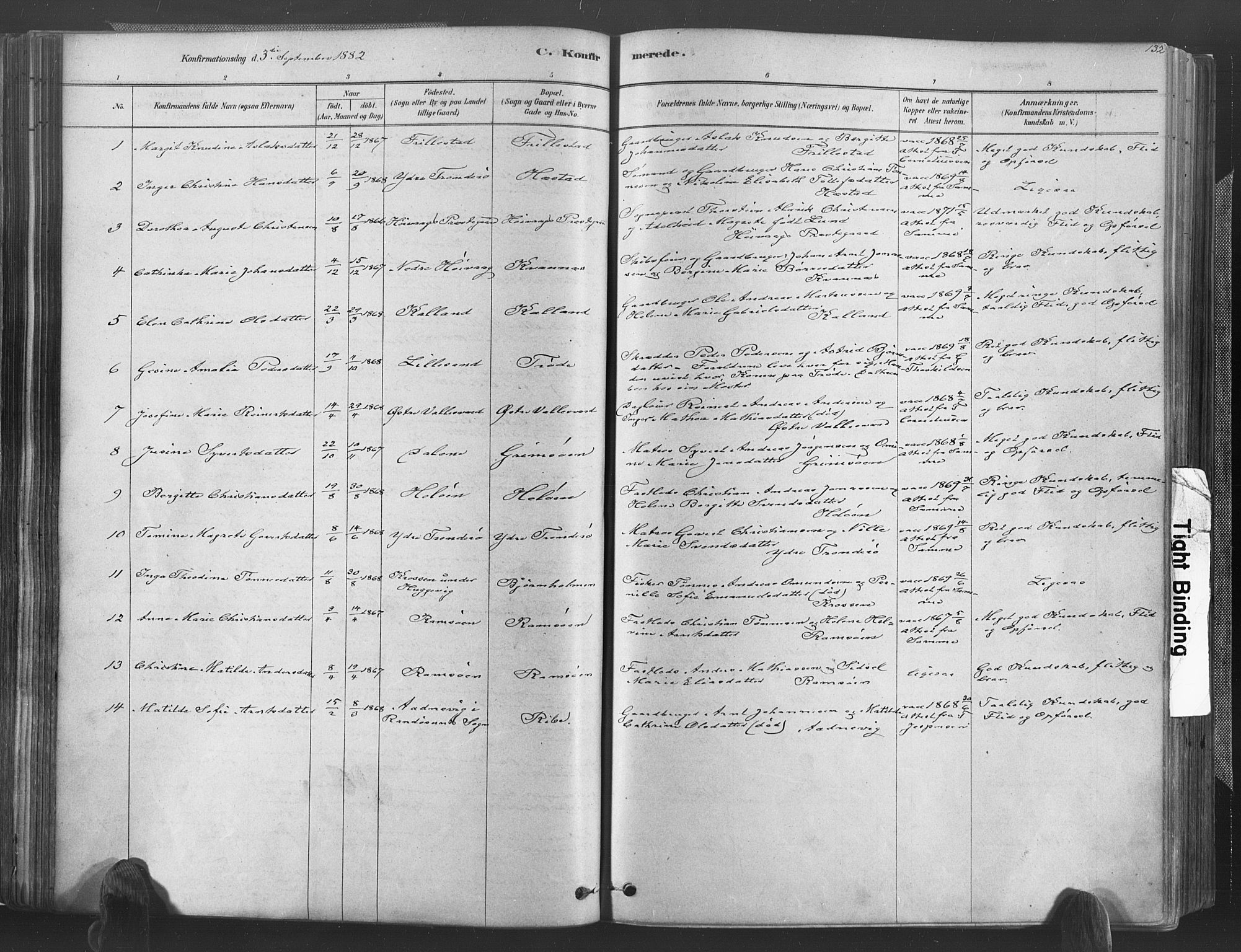 Høvåg sokneprestkontor, AV/SAK-1111-0025/F/Fa/L0005: Parish register (official) no. A 5, 1878-1893, p. 132