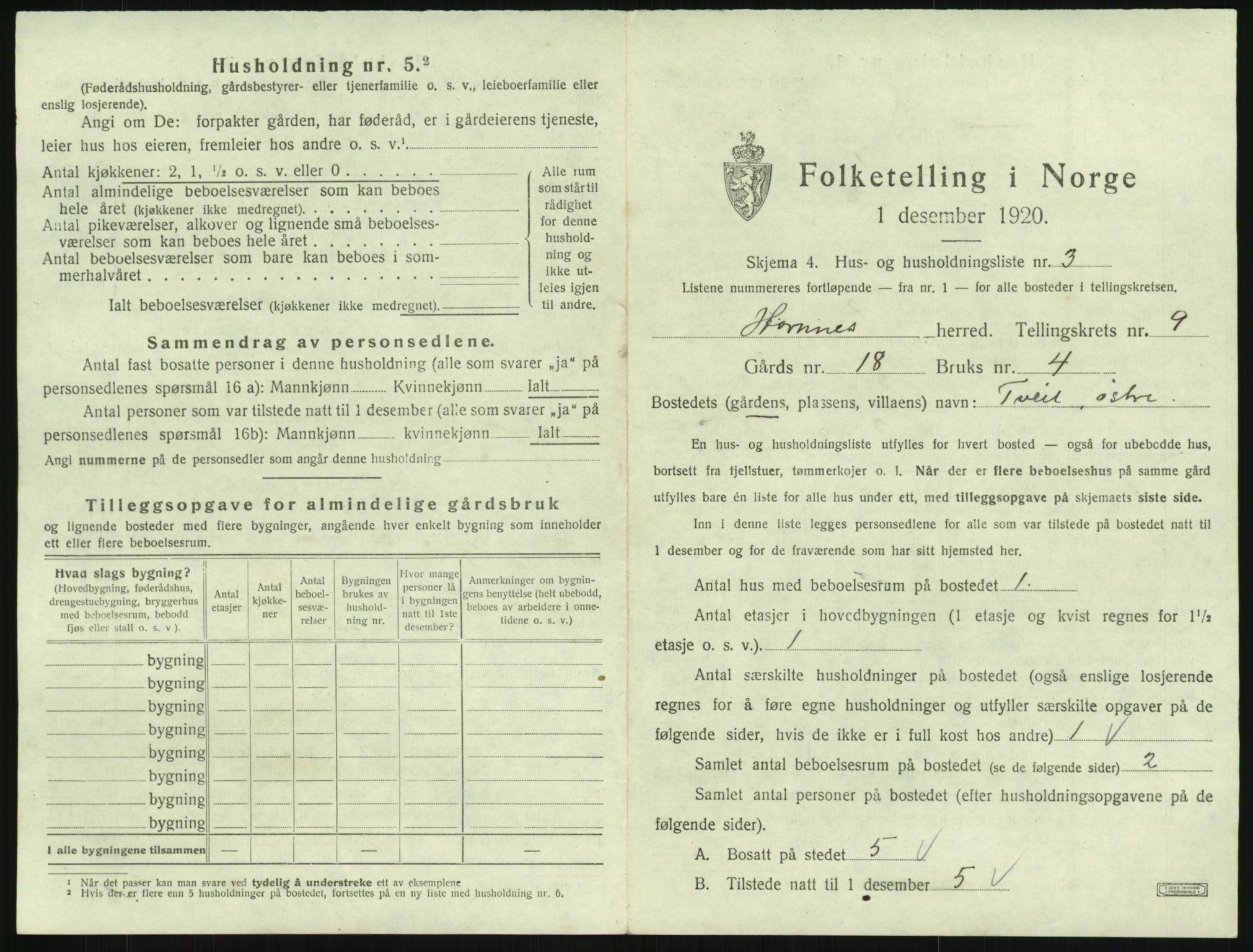 SAK, 1920 census for Hornnes, 1920, p. 355