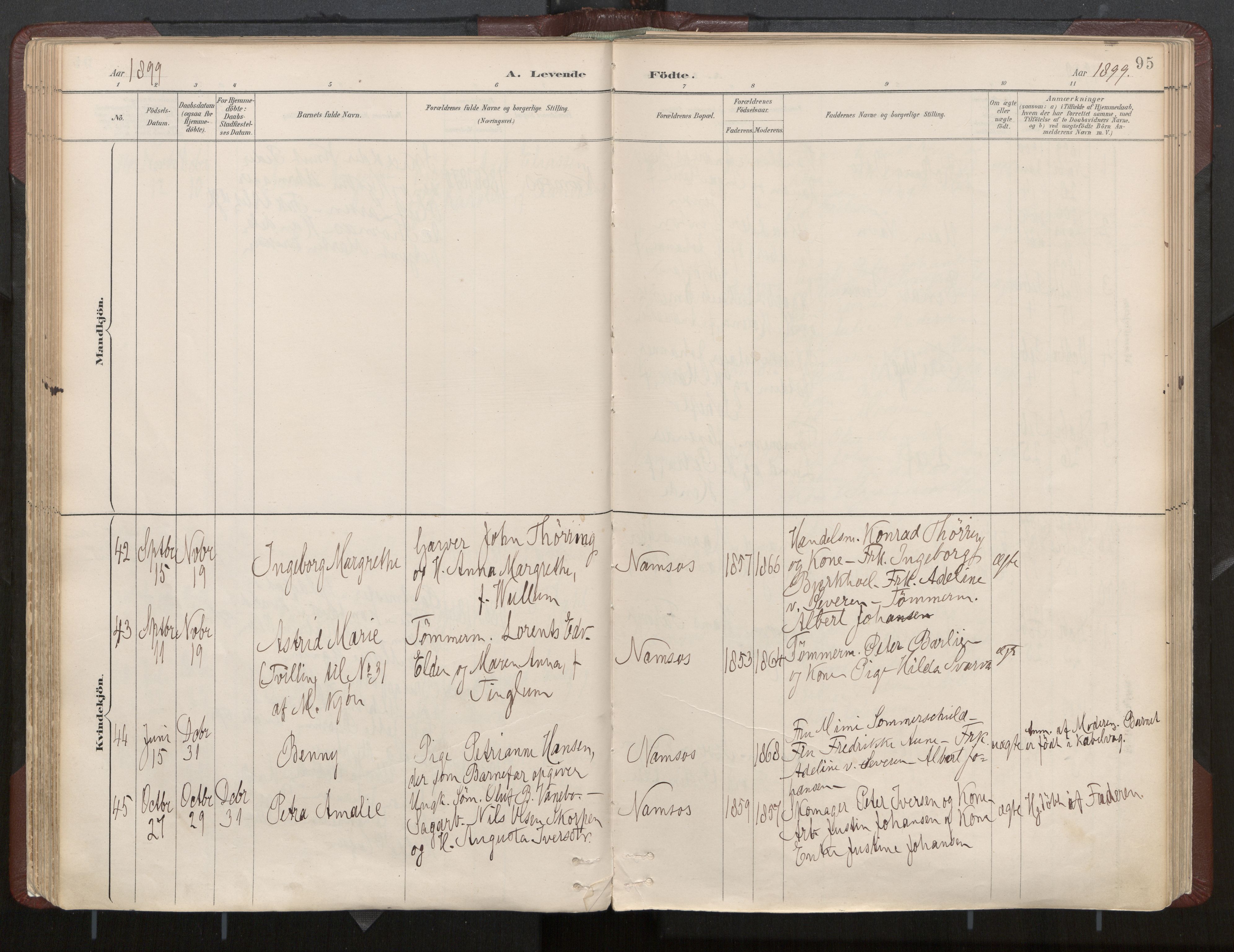 Ministerialprotokoller, klokkerbøker og fødselsregistre - Nord-Trøndelag, AV/SAT-A-1458/768/L0574: Parish register (official) no. 768A08, 1887-1927, p. 95