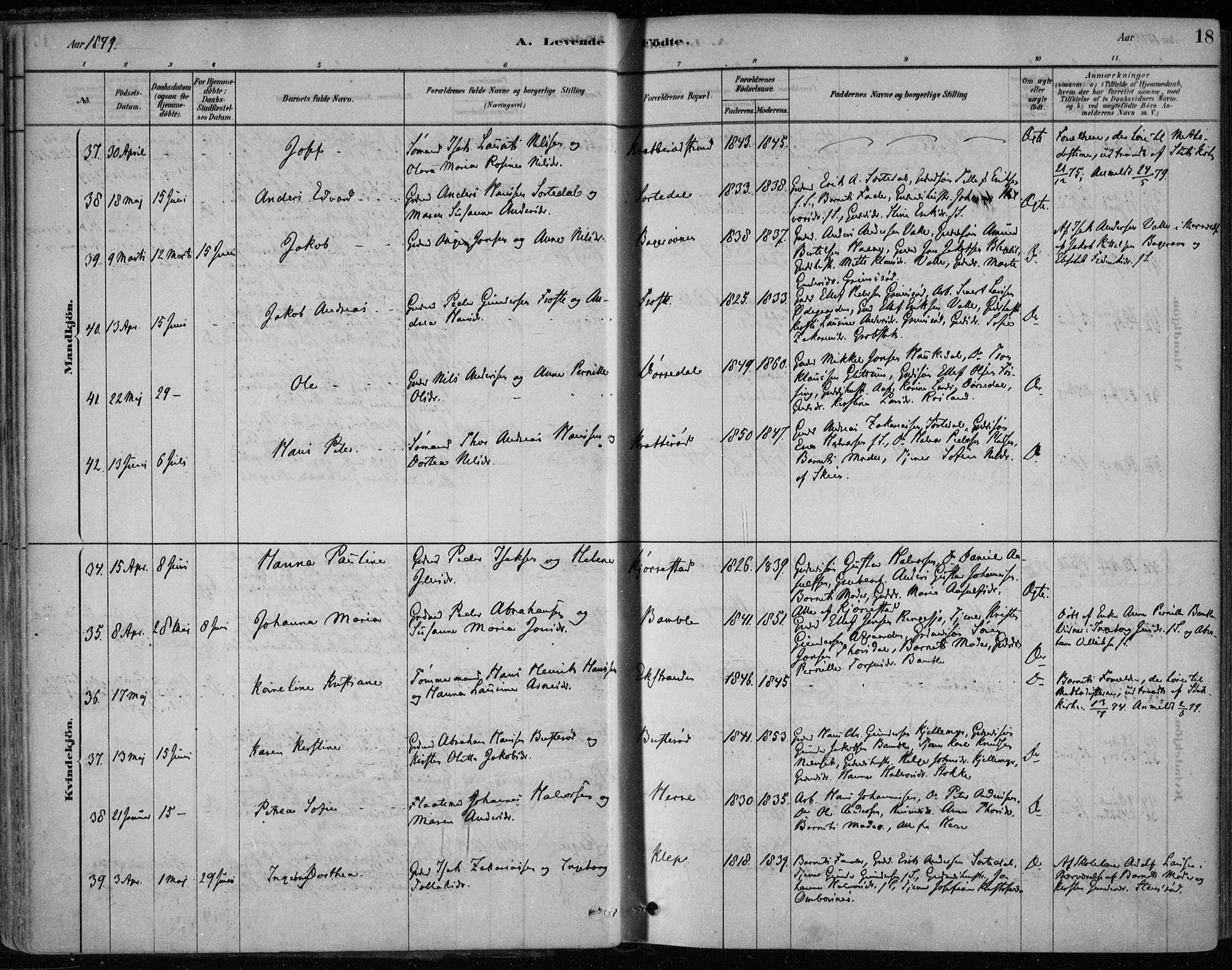 Bamble kirkebøker, SAKO/A-253/F/Fa/L0007: Parish register (official) no. I 7, 1878-1888, p. 18
