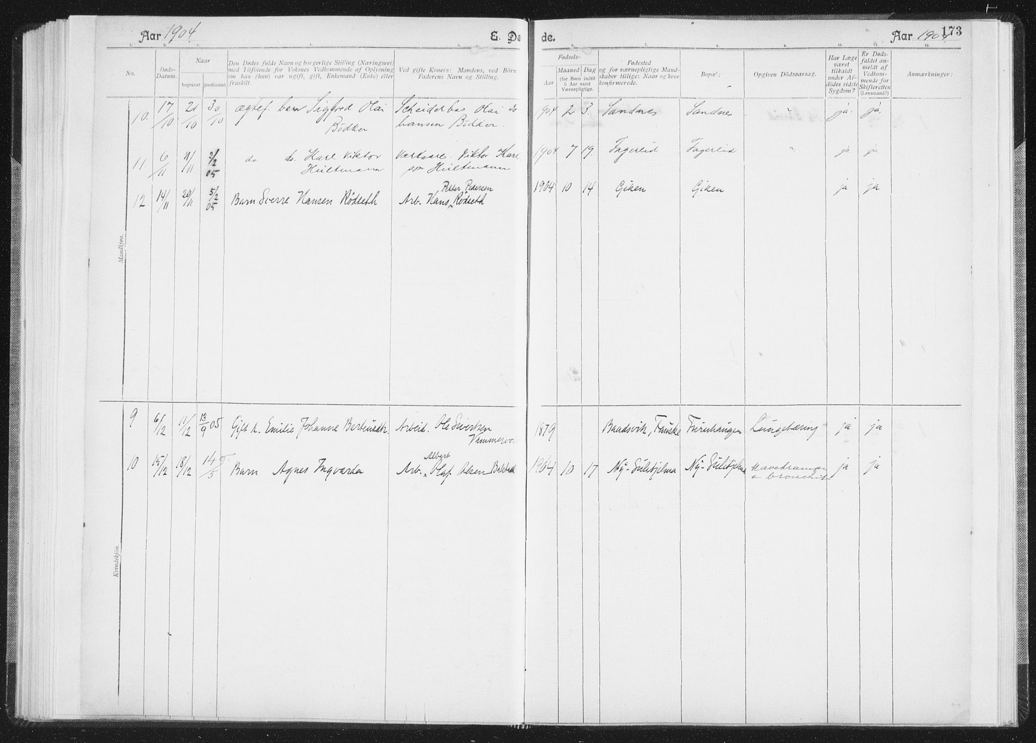 Ministerialprotokoller, klokkerbøker og fødselsregistre - Nordland, AV/SAT-A-1459/850/L0711: Curate's parish register no. 850B01, 1902-1915, p. 173