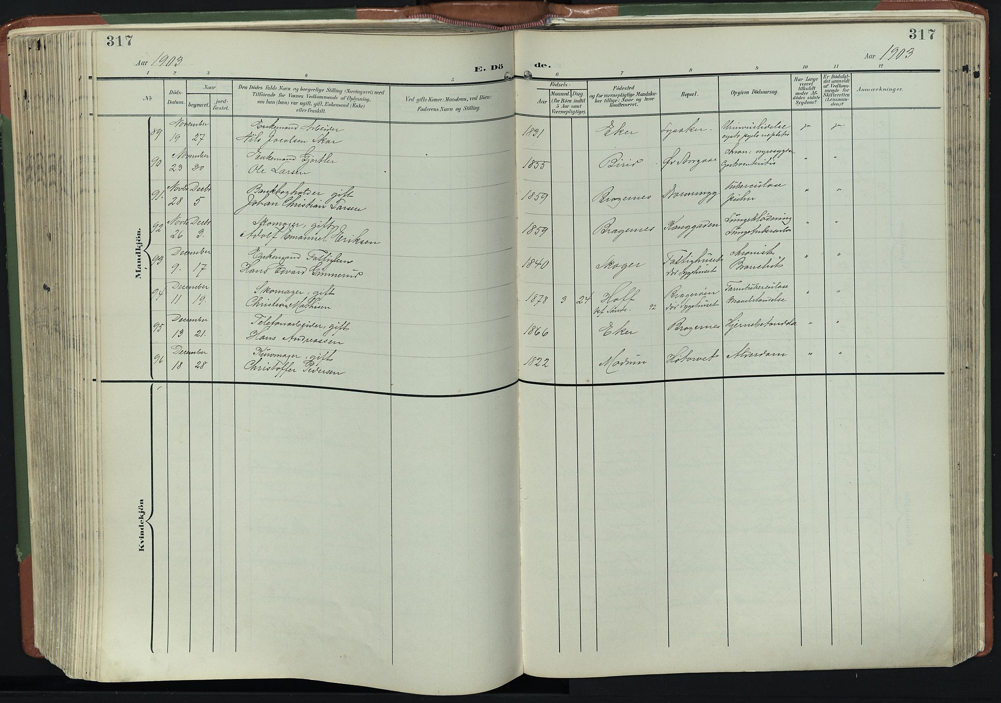 Bragernes kirkebøker, AV/SAKO-A-6/F/Fb/L0009: Parish register (official) no. II 9, 1902-1911, p. 317