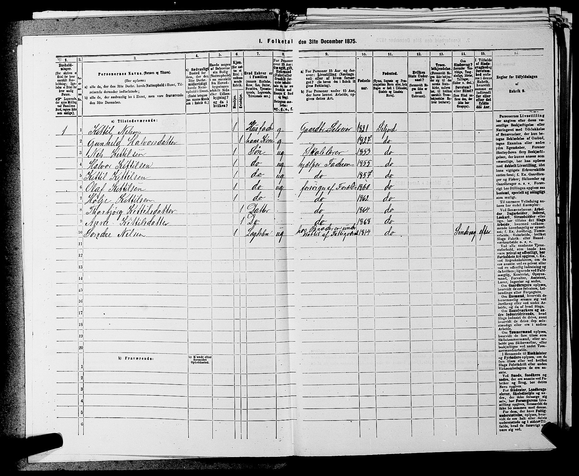 SAKO, 1875 census for 0828P Seljord, 1875, p. 555