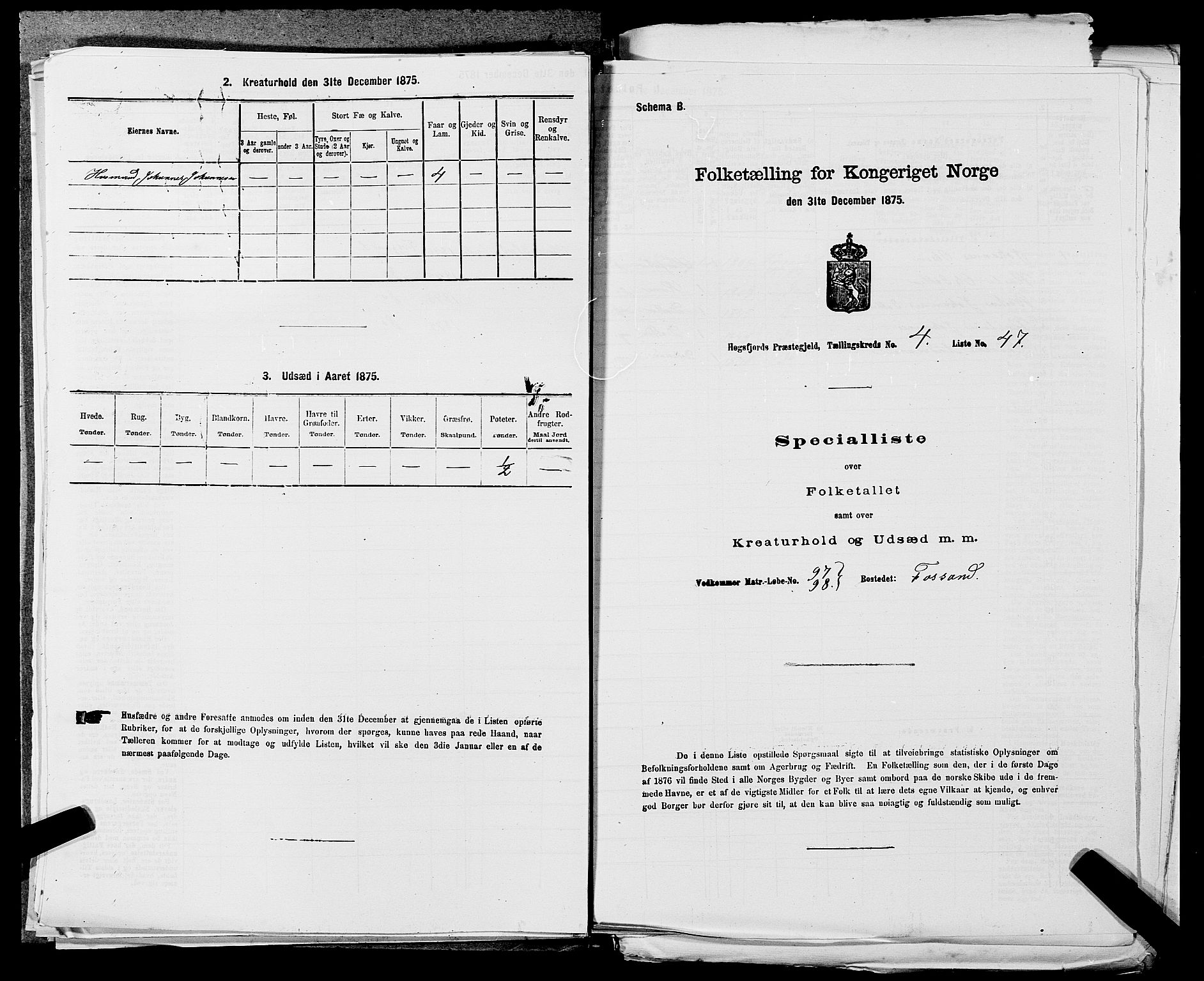 SAST, 1875 census for 1128P Høgsfjord, 1875, p. 415