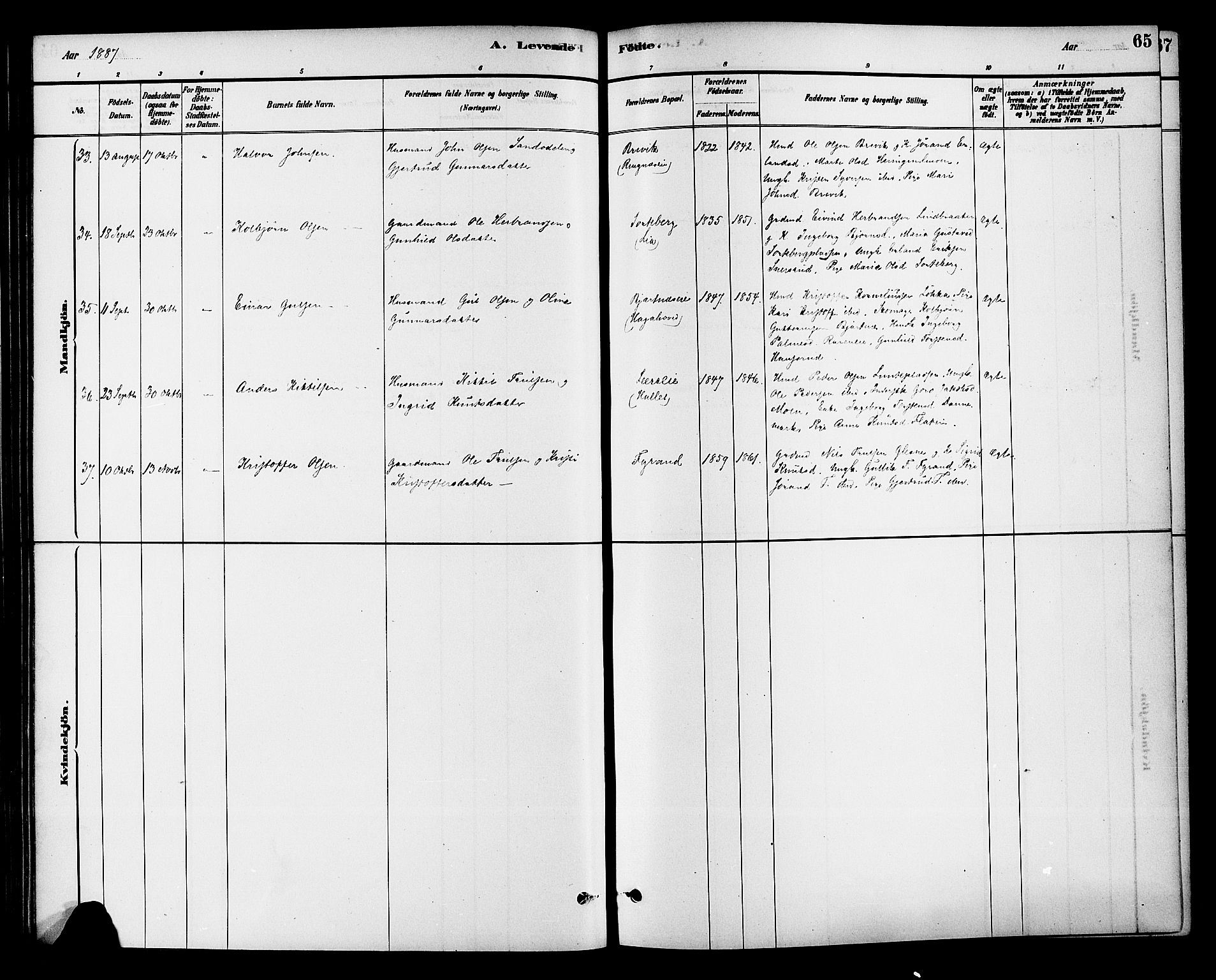 Krødsherad kirkebøker, AV/SAKO-A-19/G/Ga/L0001: Parish register (copy) no. 1, 1879-1893, p. 65