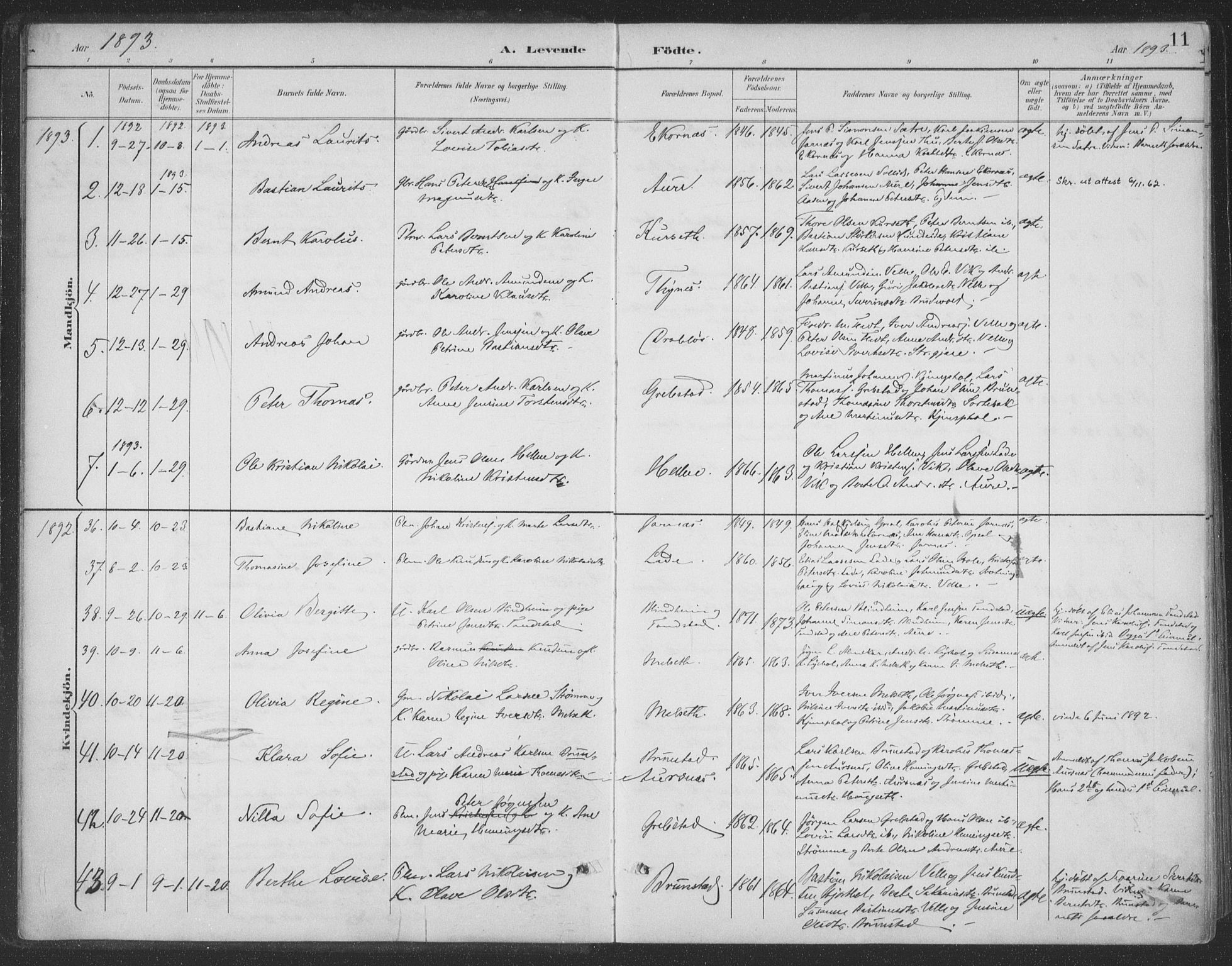 Ministerialprotokoller, klokkerbøker og fødselsregistre - Møre og Romsdal, AV/SAT-A-1454/523/L0335: Parish register (official) no. 523A02, 1891-1911, p. 11