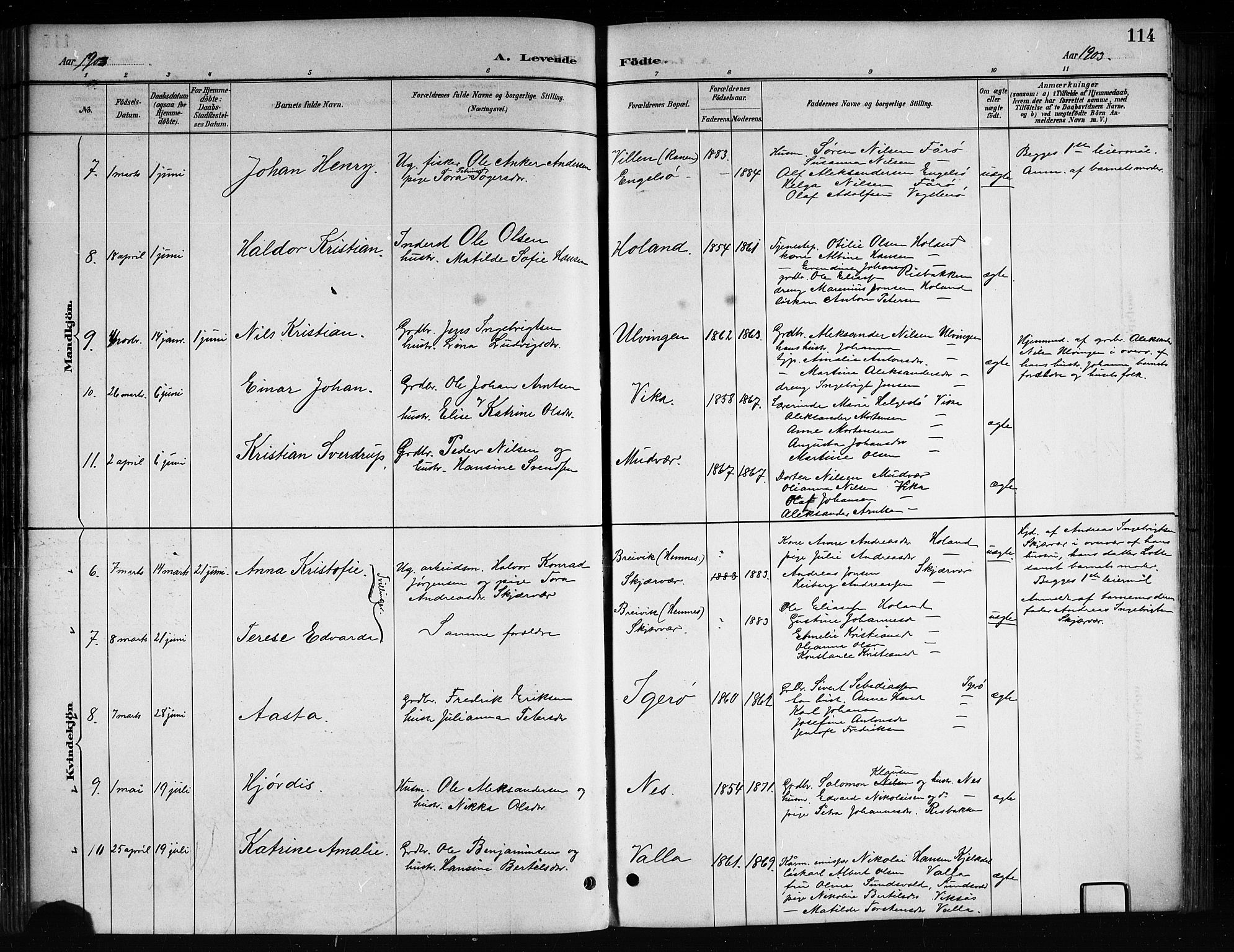 Ministerialprotokoller, klokkerbøker og fødselsregistre - Nordland, AV/SAT-A-1459/816/L0253: Parish register (copy) no. 816C03, 1886-1905, p. 114