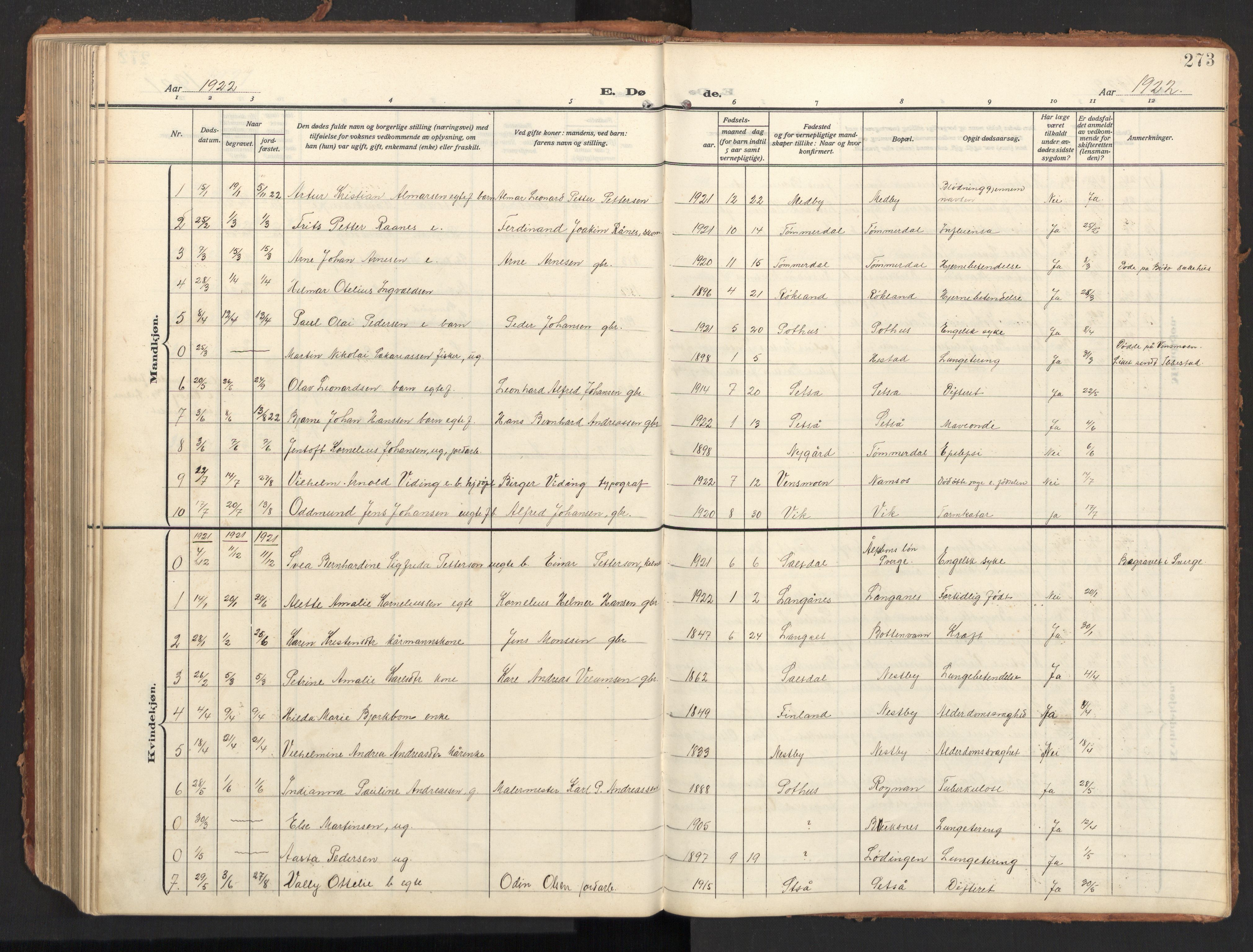 Ministerialprotokoller, klokkerbøker og fødselsregistre - Nordland, SAT/A-1459/847/L0683: Parish register (copy) no. 847C11, 1908-1929, p. 273