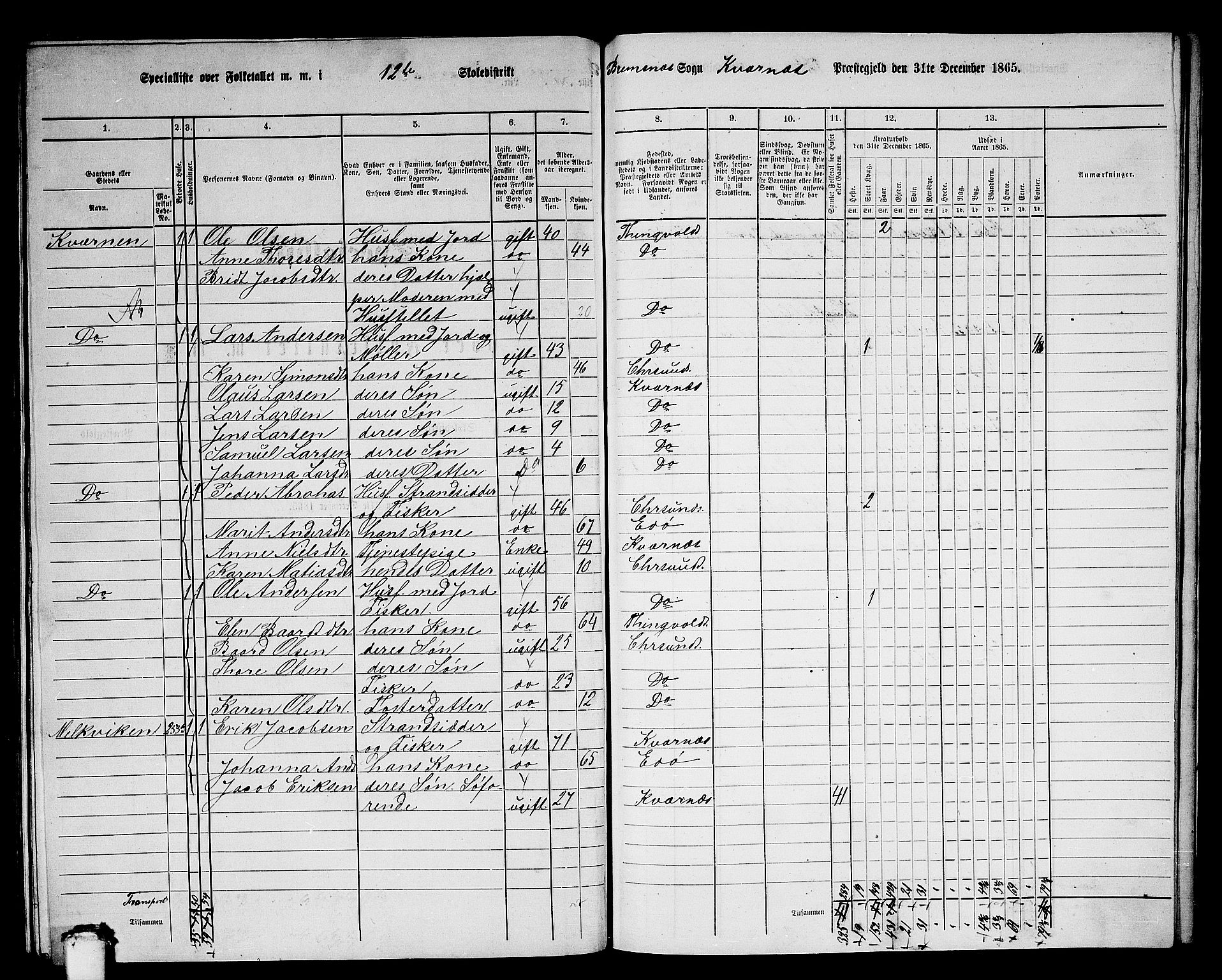 RA, 1865 census for Kvernes, 1865, p. 228